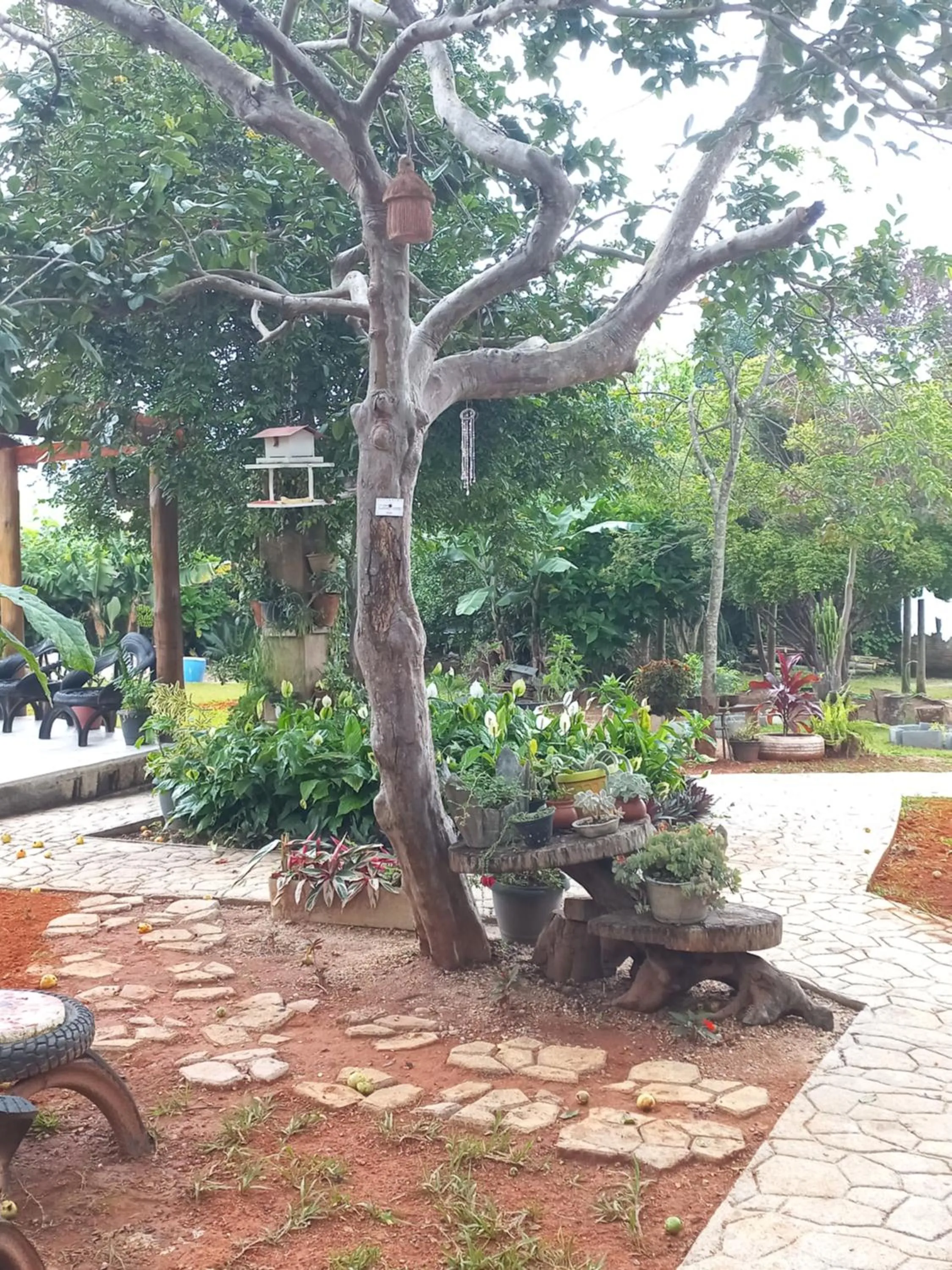 Garden in Pousada Veadeiros - Alto Paraiso de Goiás