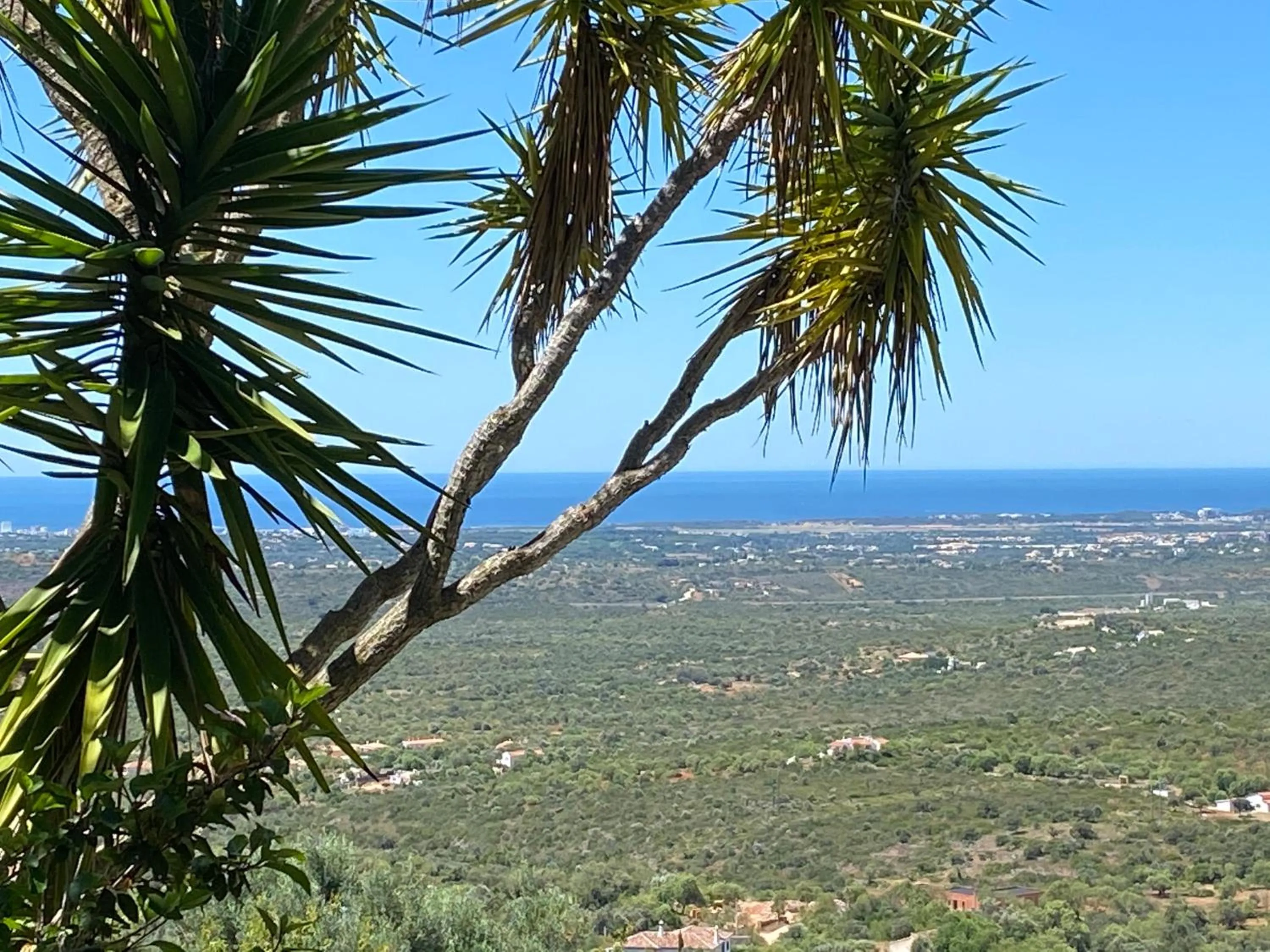 Sea view in Felicidade