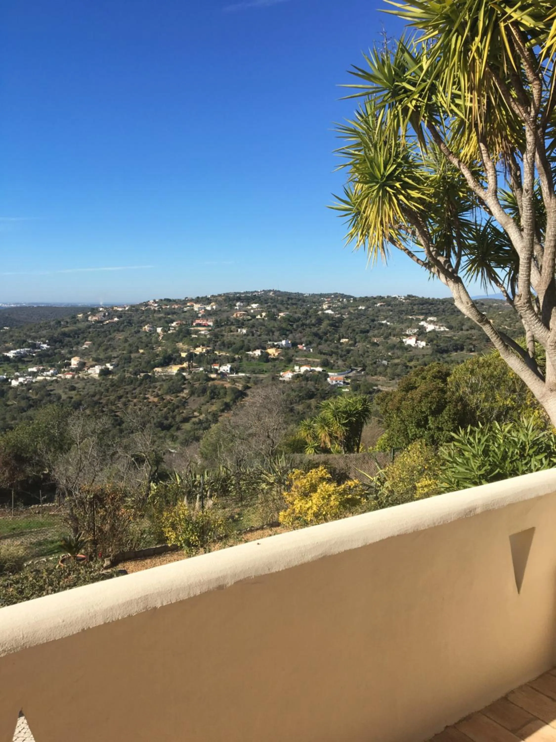 Natural landscape in Felicidade