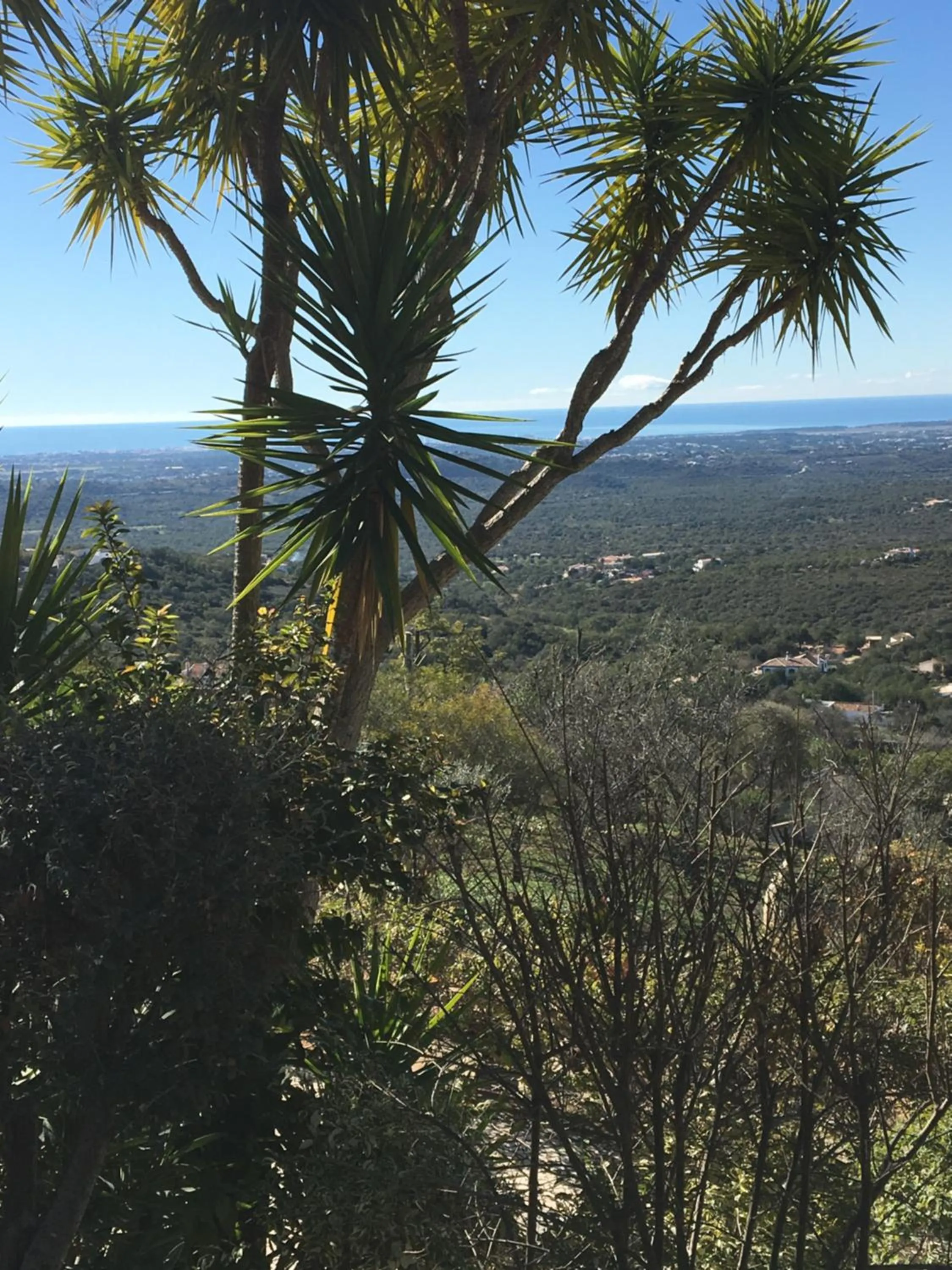 Natural landscape in Felicidade