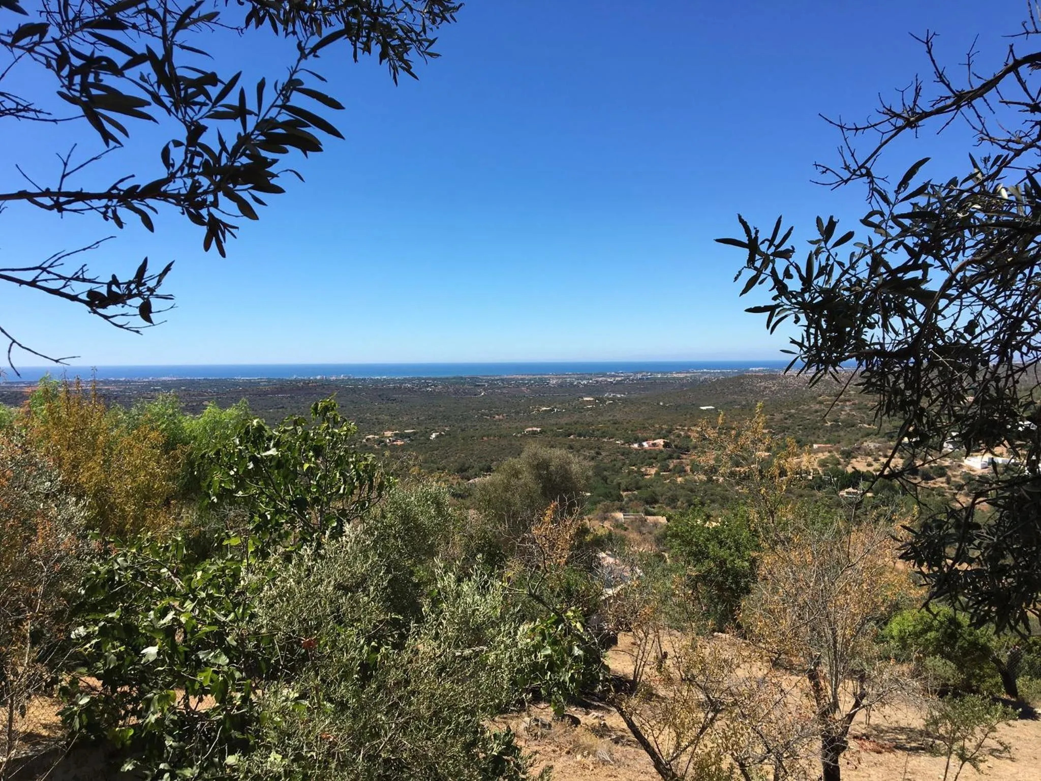 Natural landscape in Felicidade