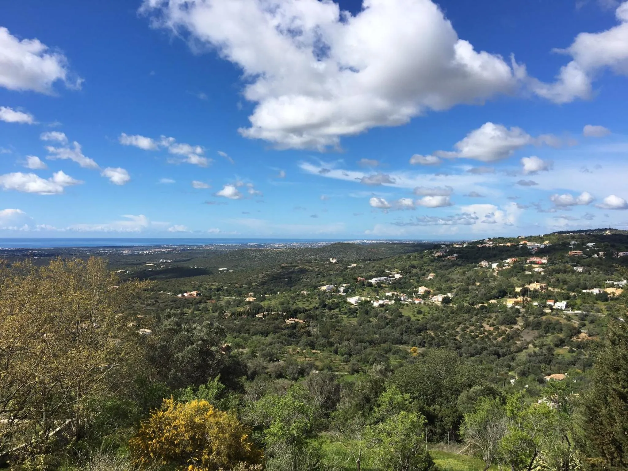 Sea view in Felicidade