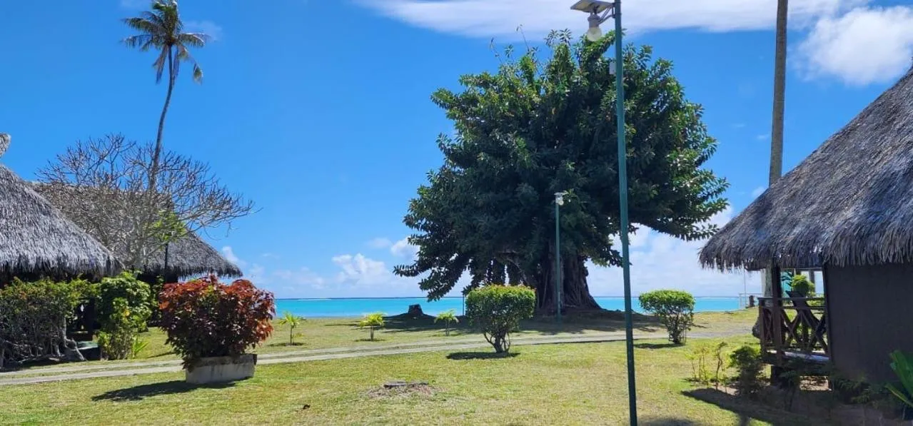 Sea view in Hotel Hibiscus