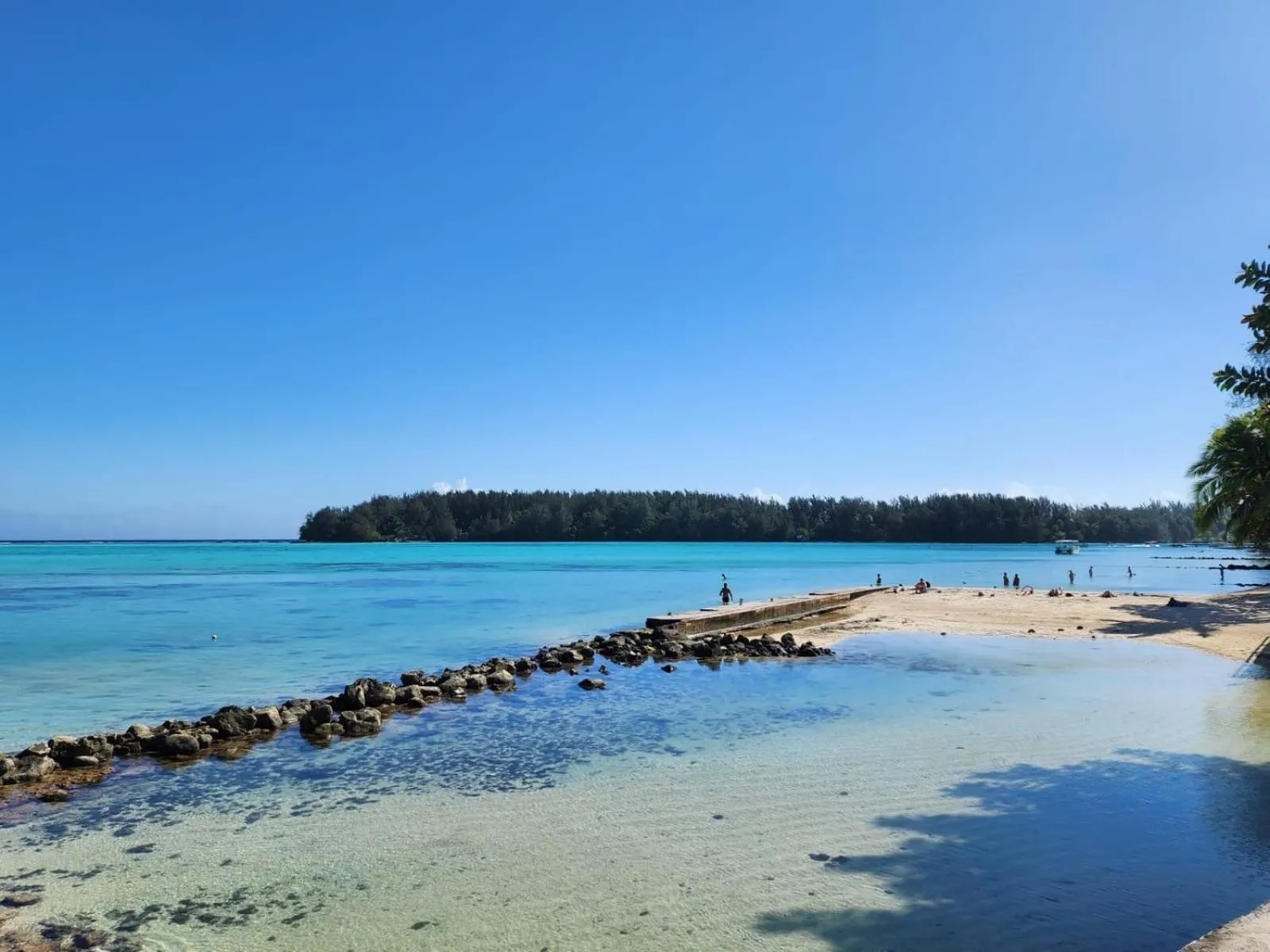 Beach in Hotel Hibiscus