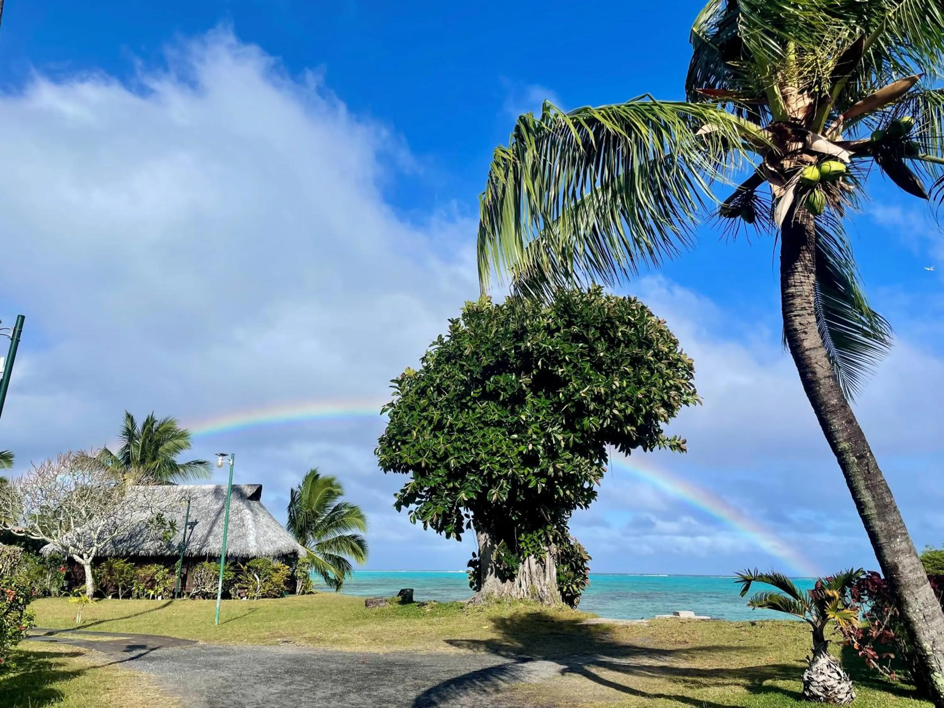 Sea view in Hotel Hibiscus