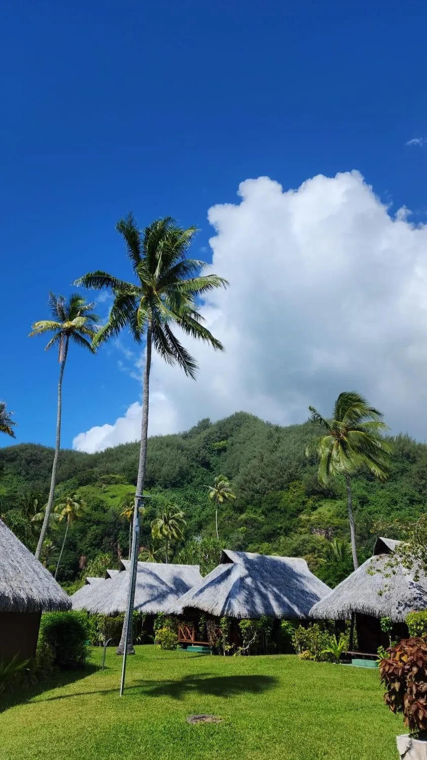 Photo of the whole room in Hotel Hibiscus