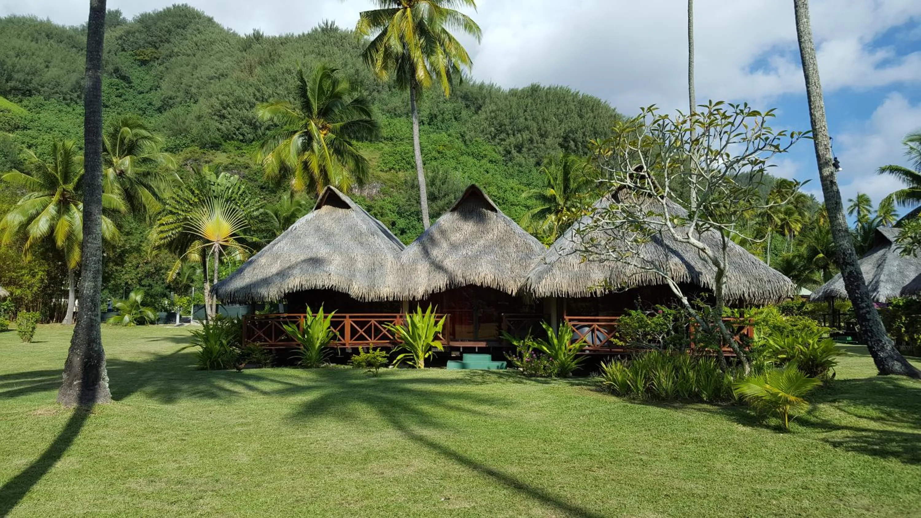 Garden view in Hotel Hibiscus