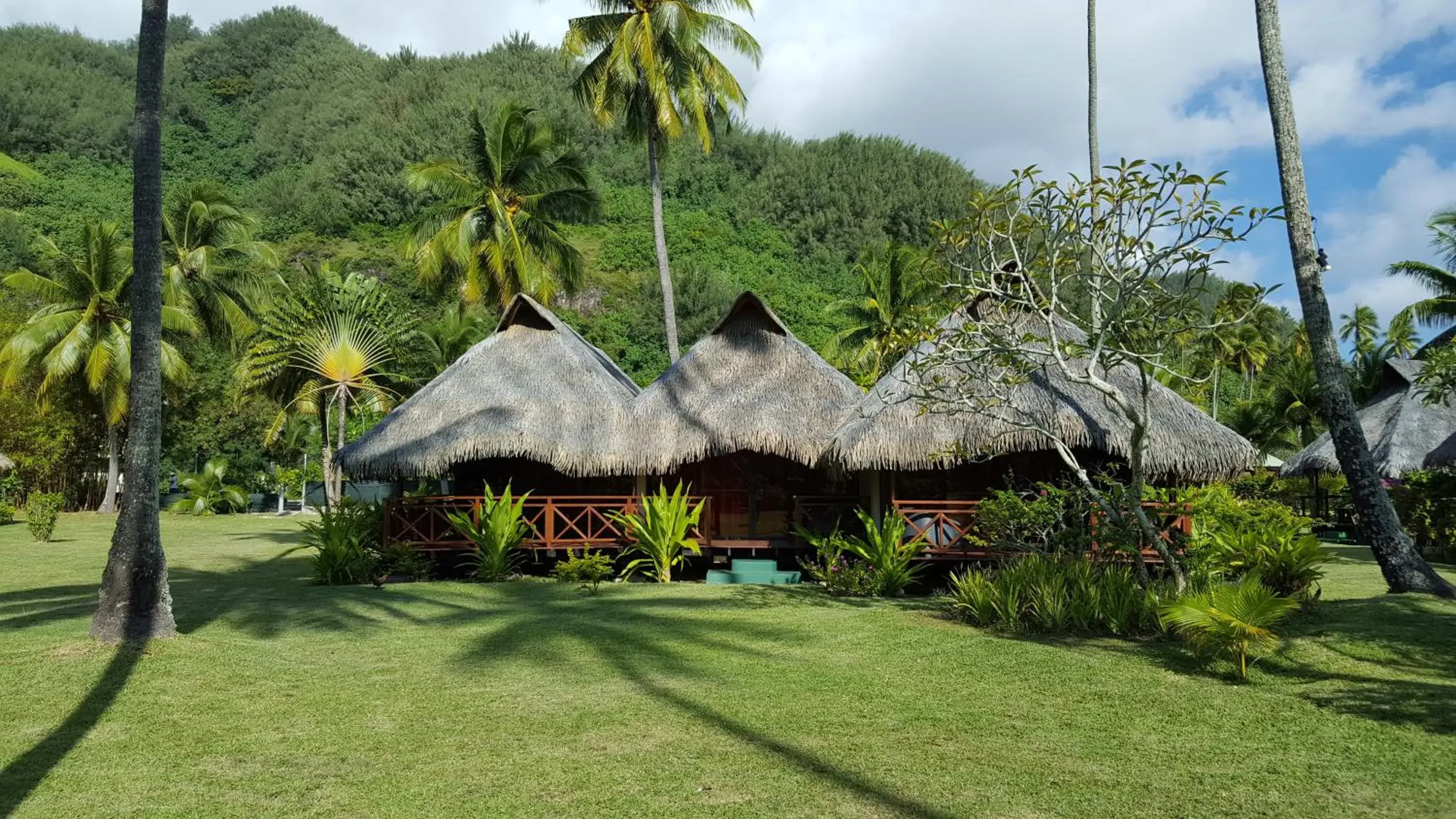 Suite Superior Bungalow in Hotel Hibiscus Suite Superior Bungalow in Hotel Hibiscus