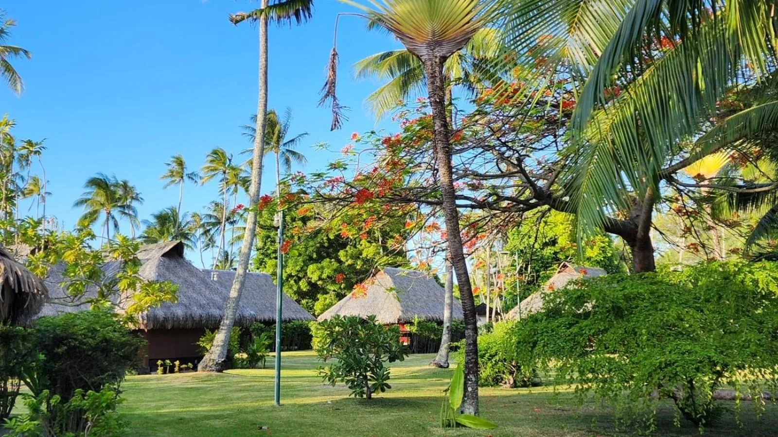 Garden in Hotel Hibiscus
