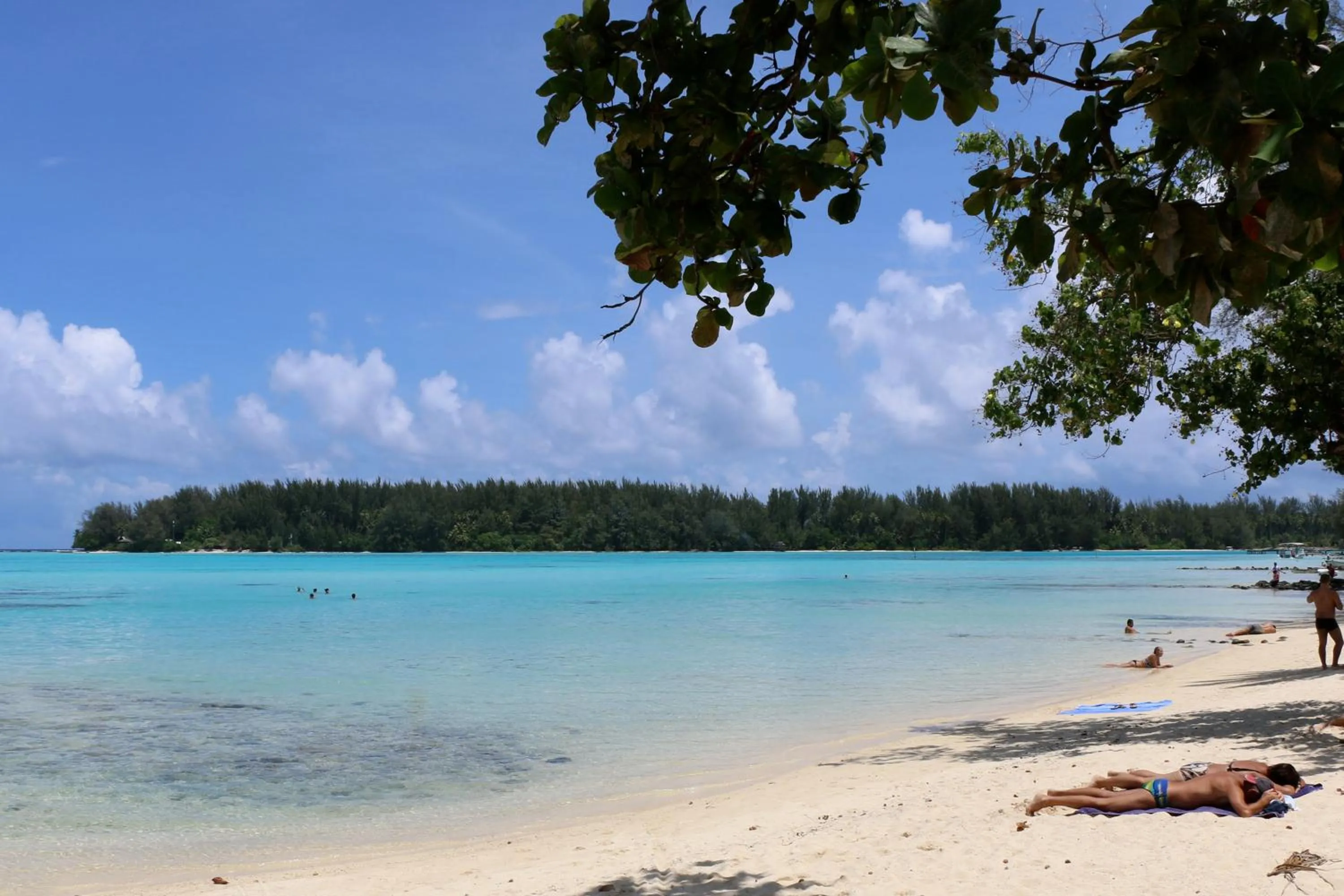 Natural landscape in Hotel Hibiscus