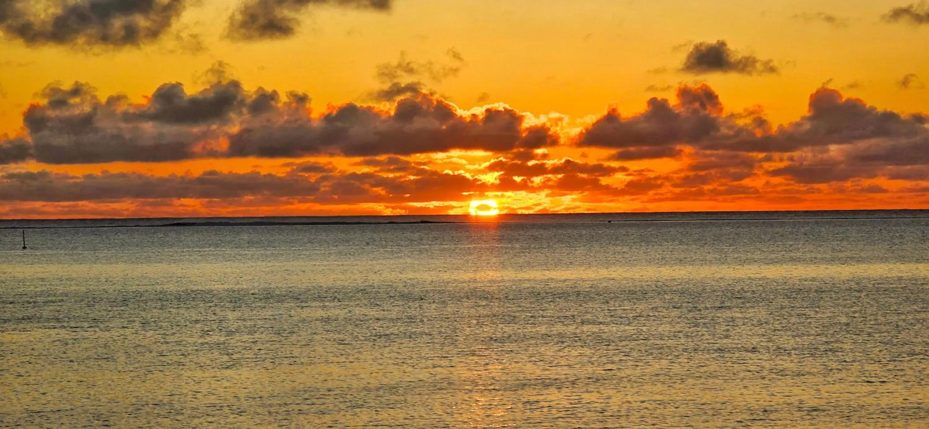 Restaurant/places to eat in Hotel Hibiscus