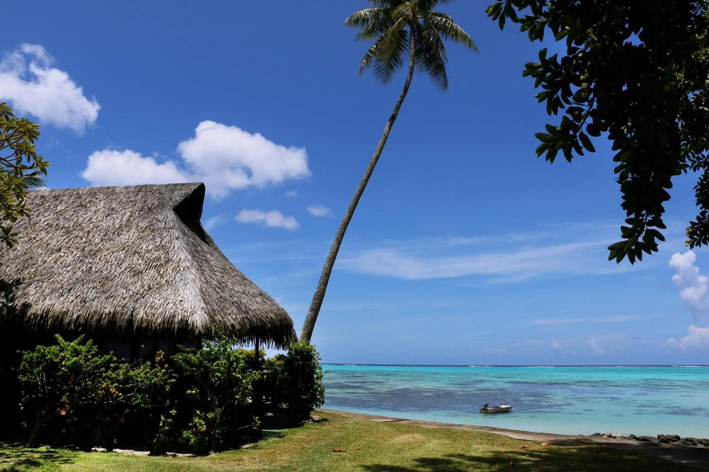 Deluxe Bungalow with Sea View in Hotel Hibiscus Deluxe Bungalow with Sea View in Hotel Hibiscus