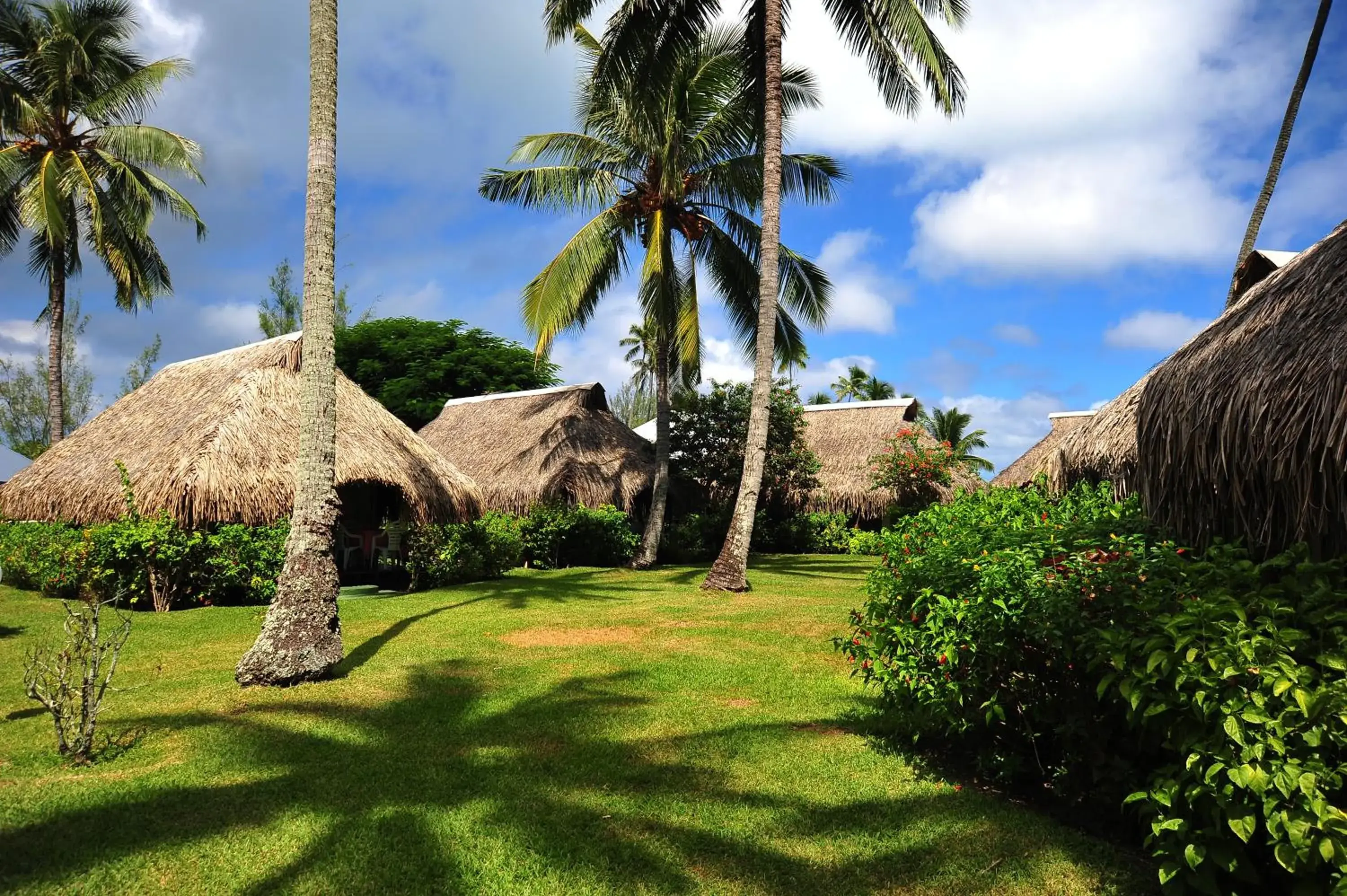 Bungalow with Garden View - Double in Hotel Hibiscus Bungalow with Garden View - Double in Hotel Hibiscus