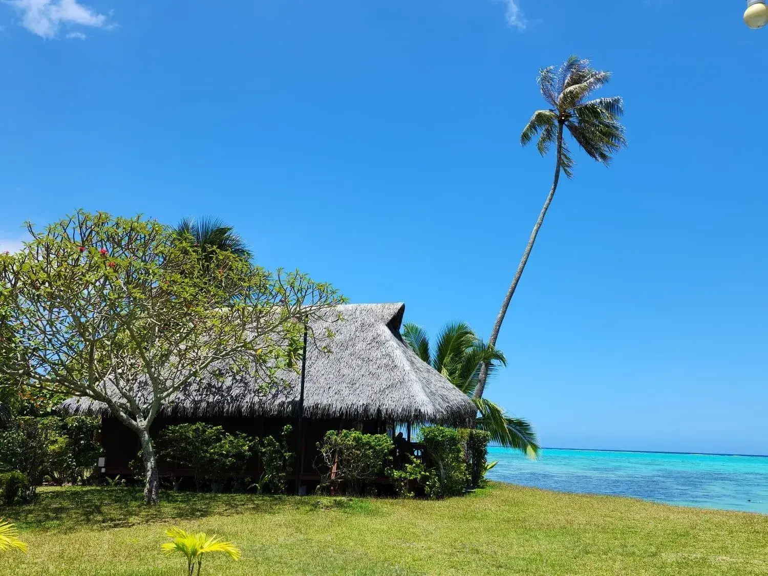 Deluxe Bungalow with Sea View in Hotel Hibiscus Deluxe Bungalow with Sea View in Hotel Hibiscus