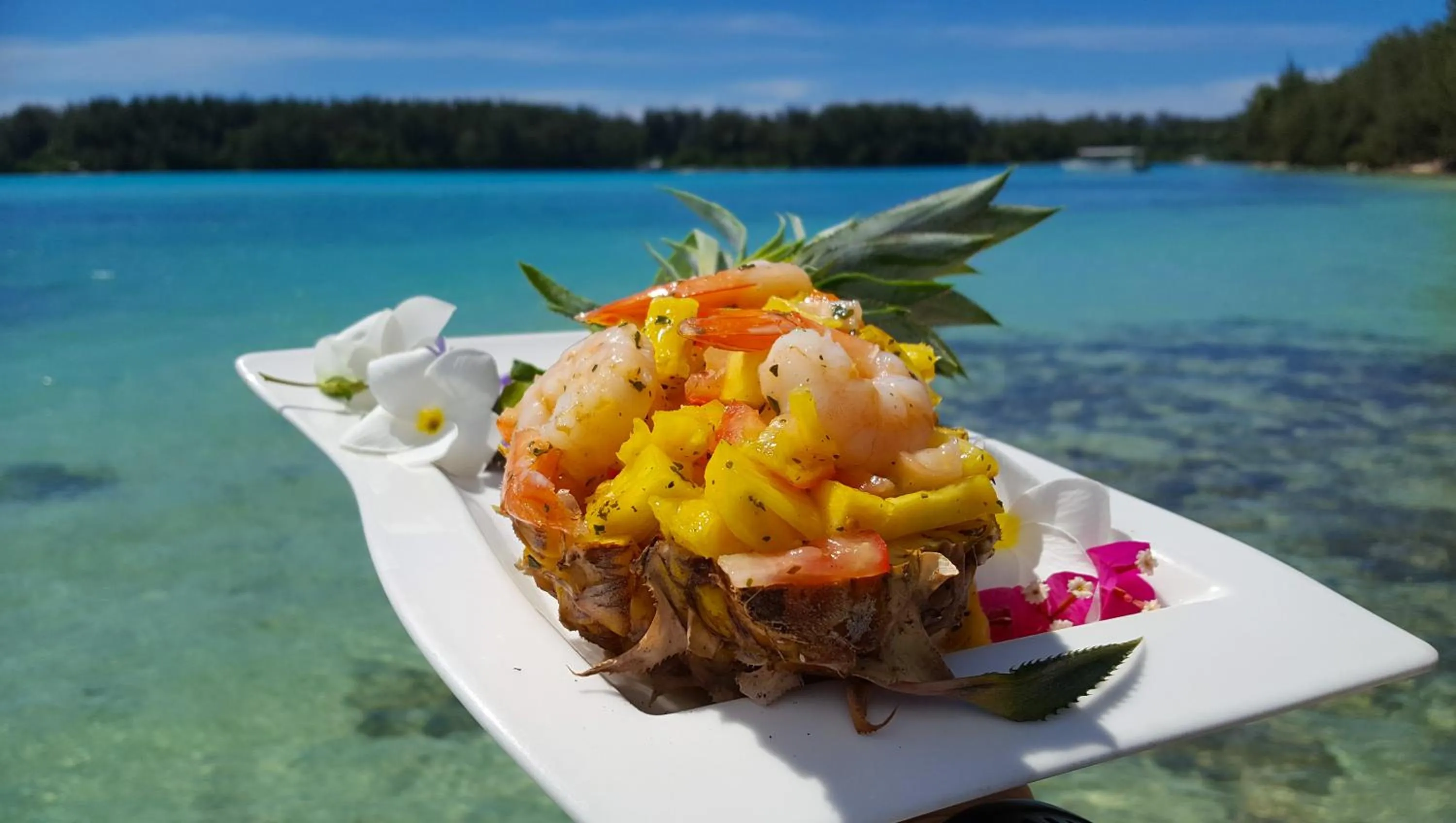 Restaurant/places to eat in Hotel Hibiscus