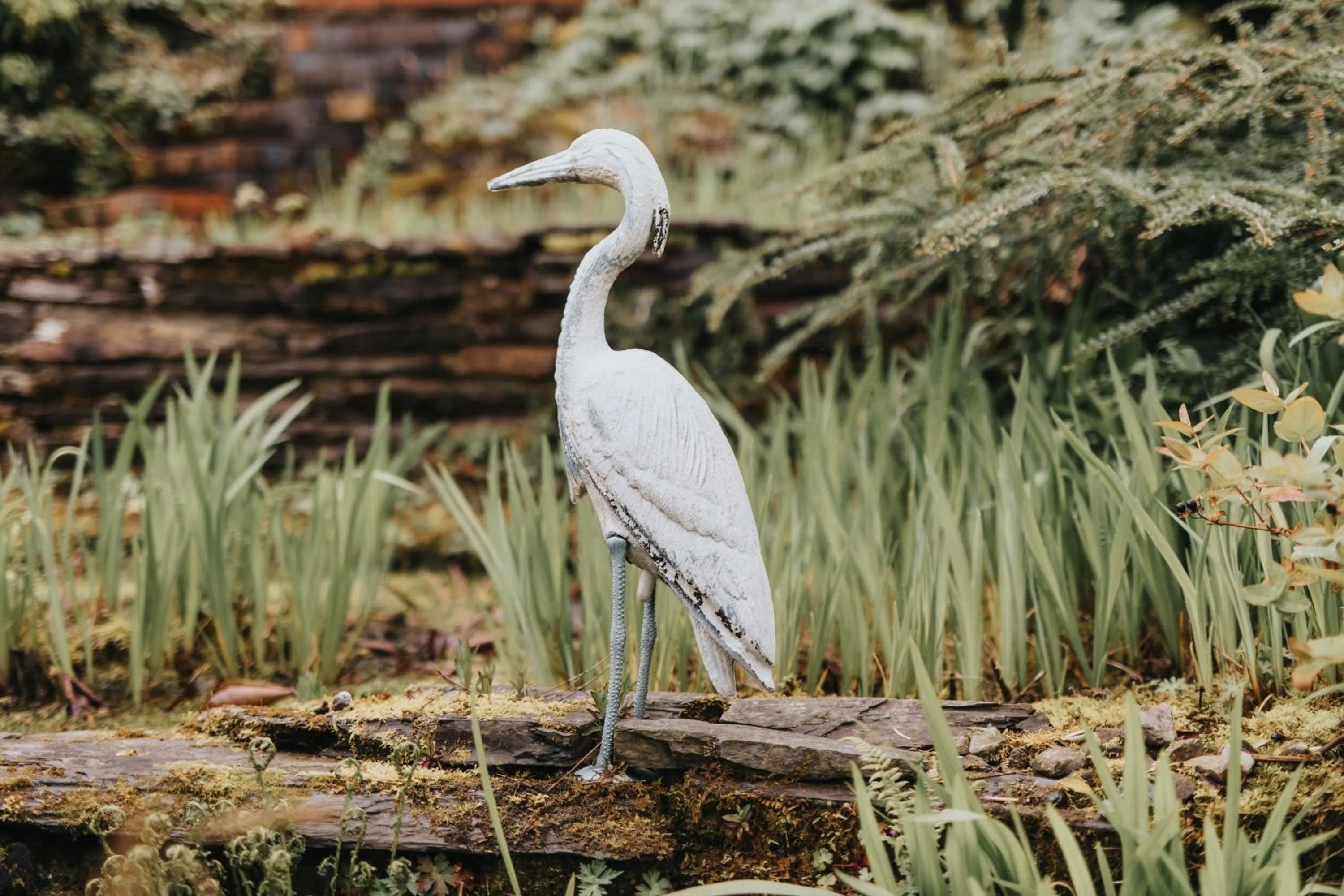 Ferlas Bed and Breakfast