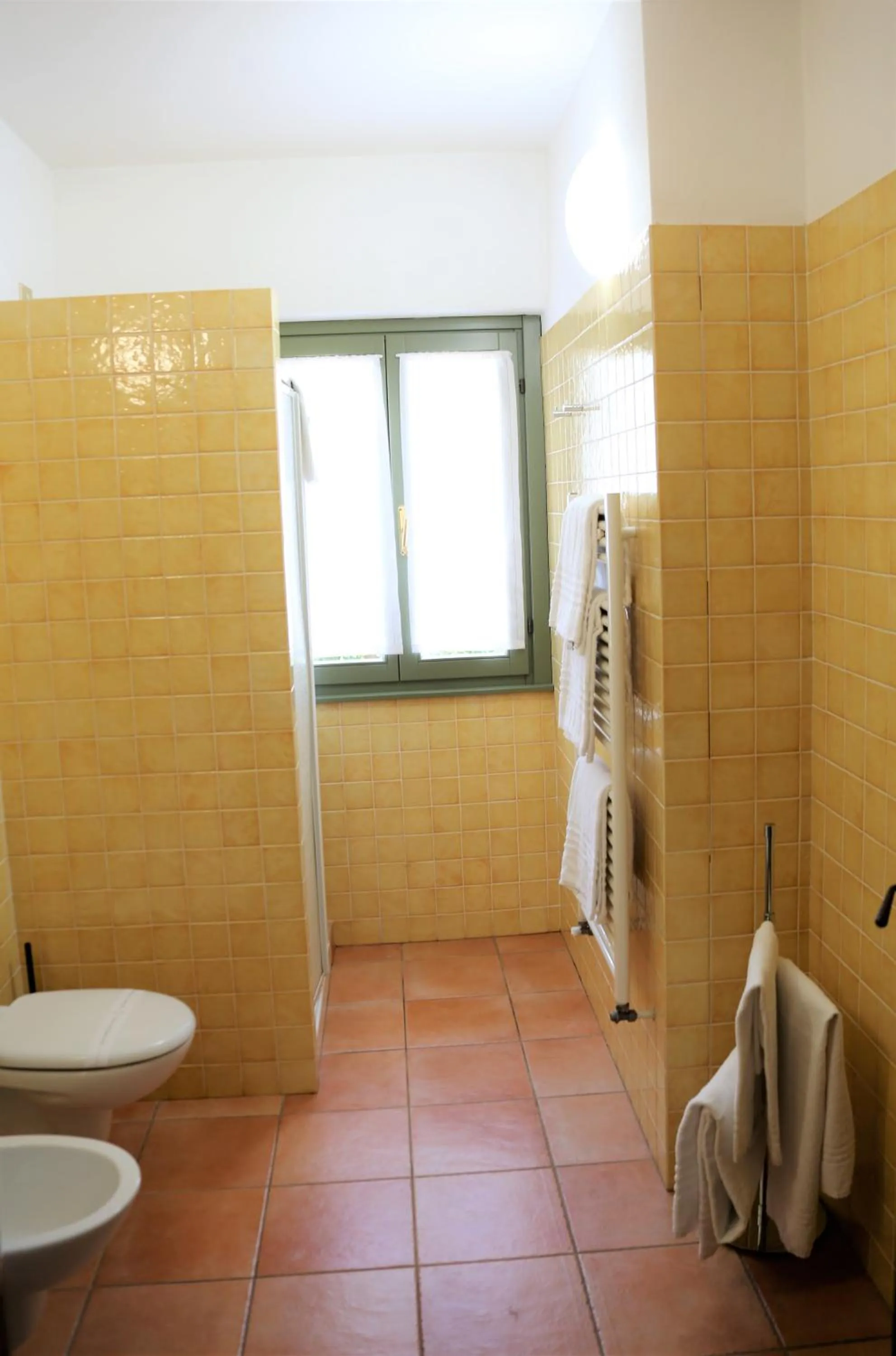 Shower in Appartamenti Ferrari Residence