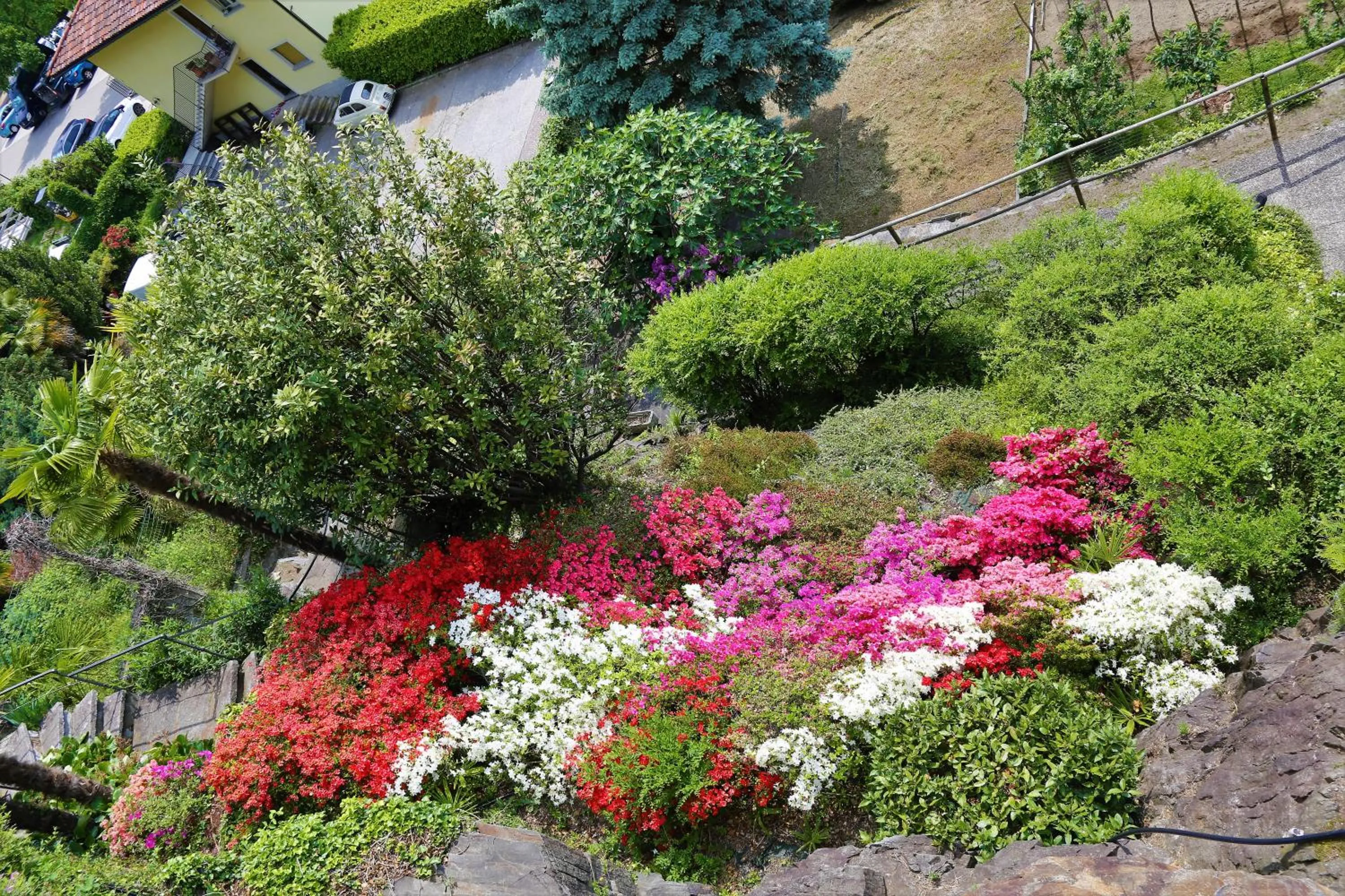 Garden in Appartamenti Ferrari Residence