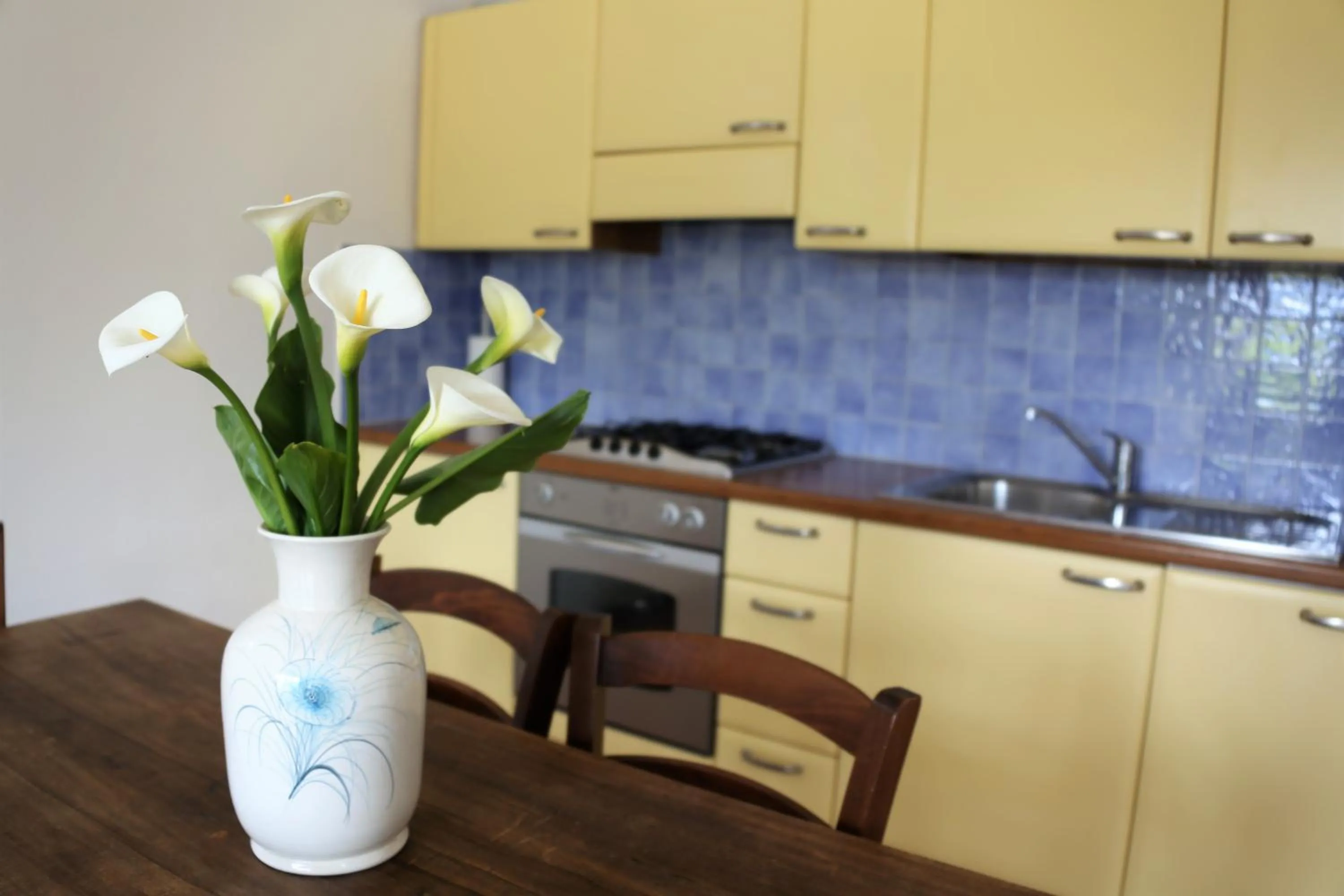 kitchen in Appartamenti Ferrari Residence