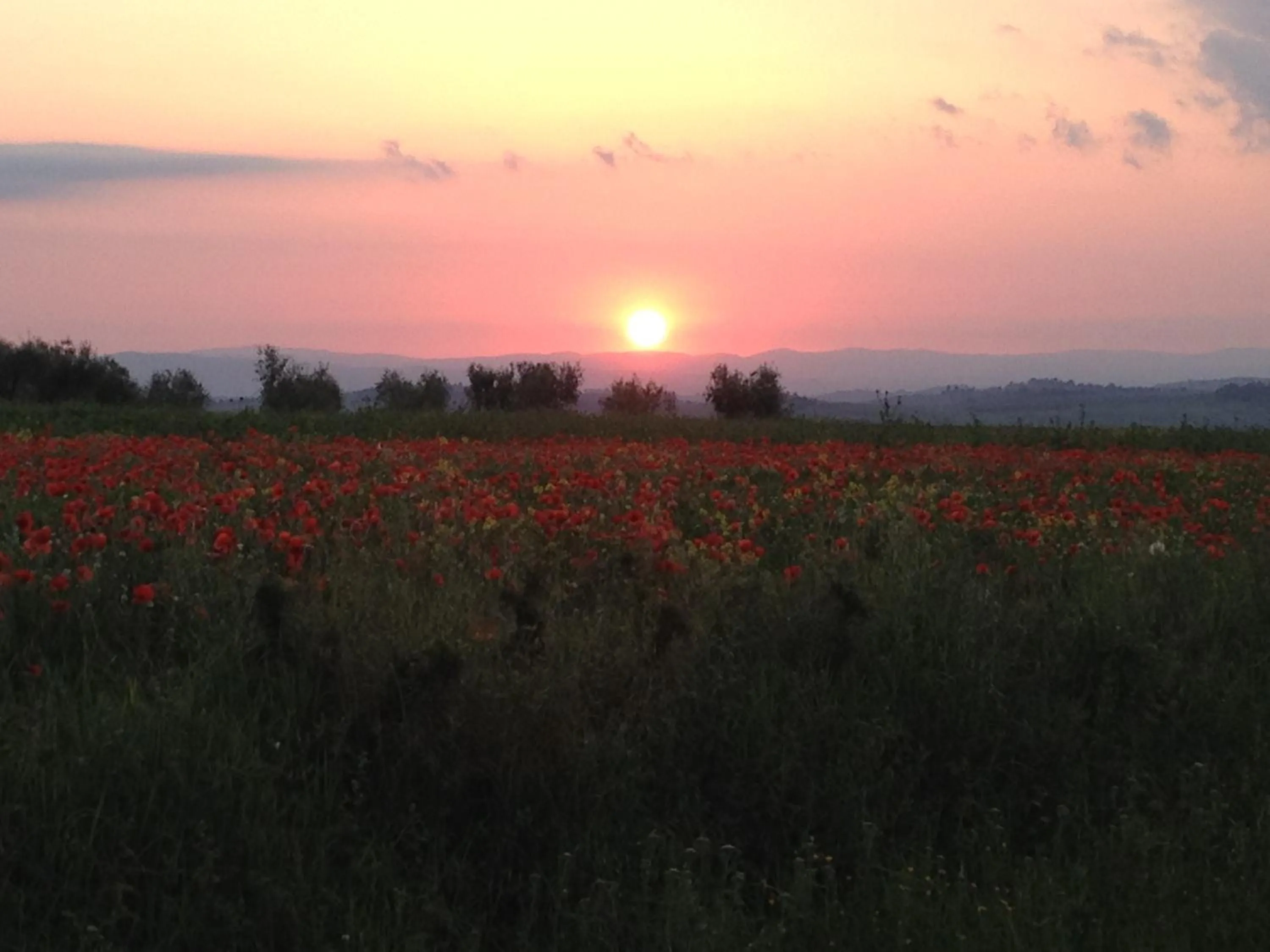 Street view in Agriturismo Il Macchione