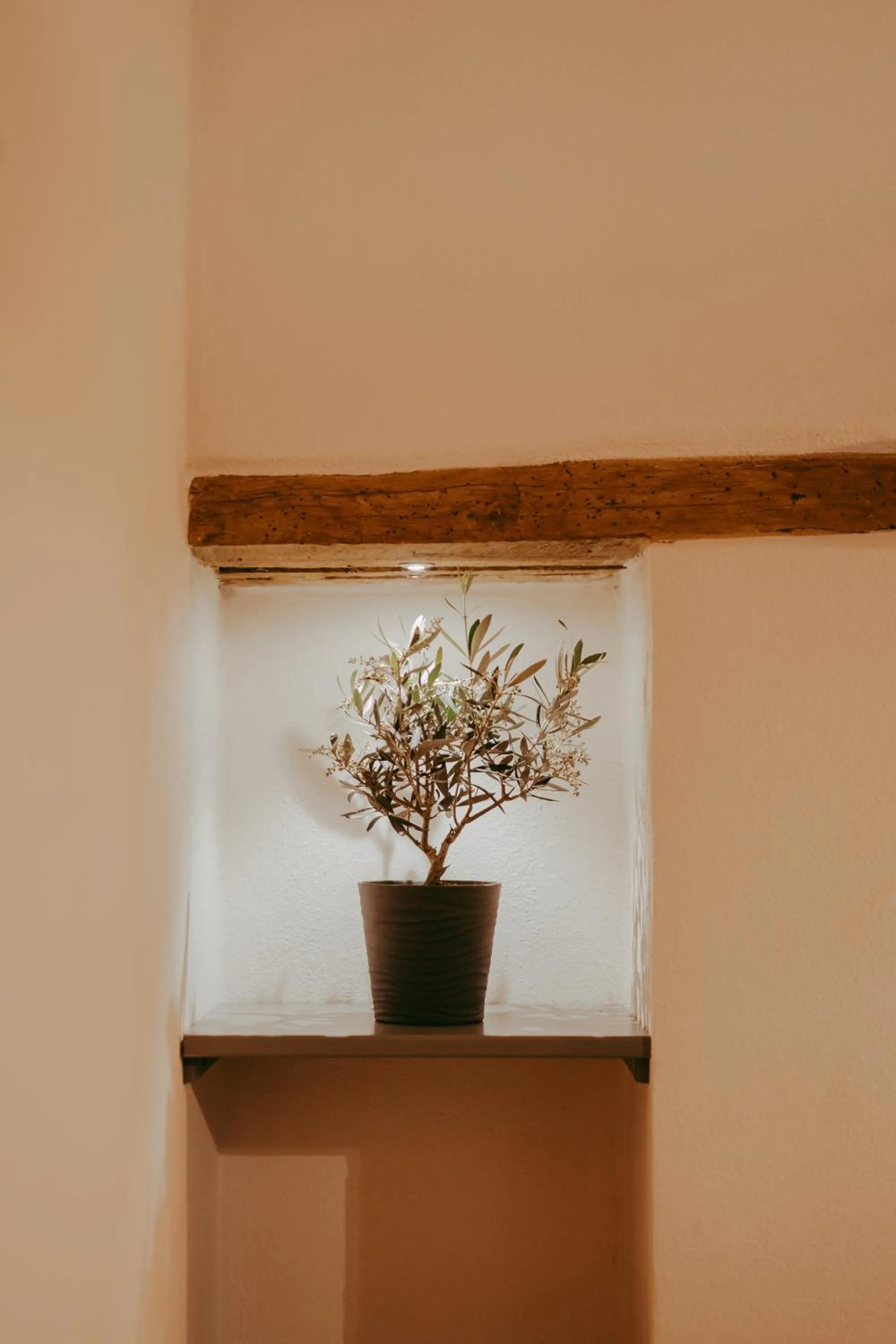 Decorative detail in Agriturismo Il Macchione