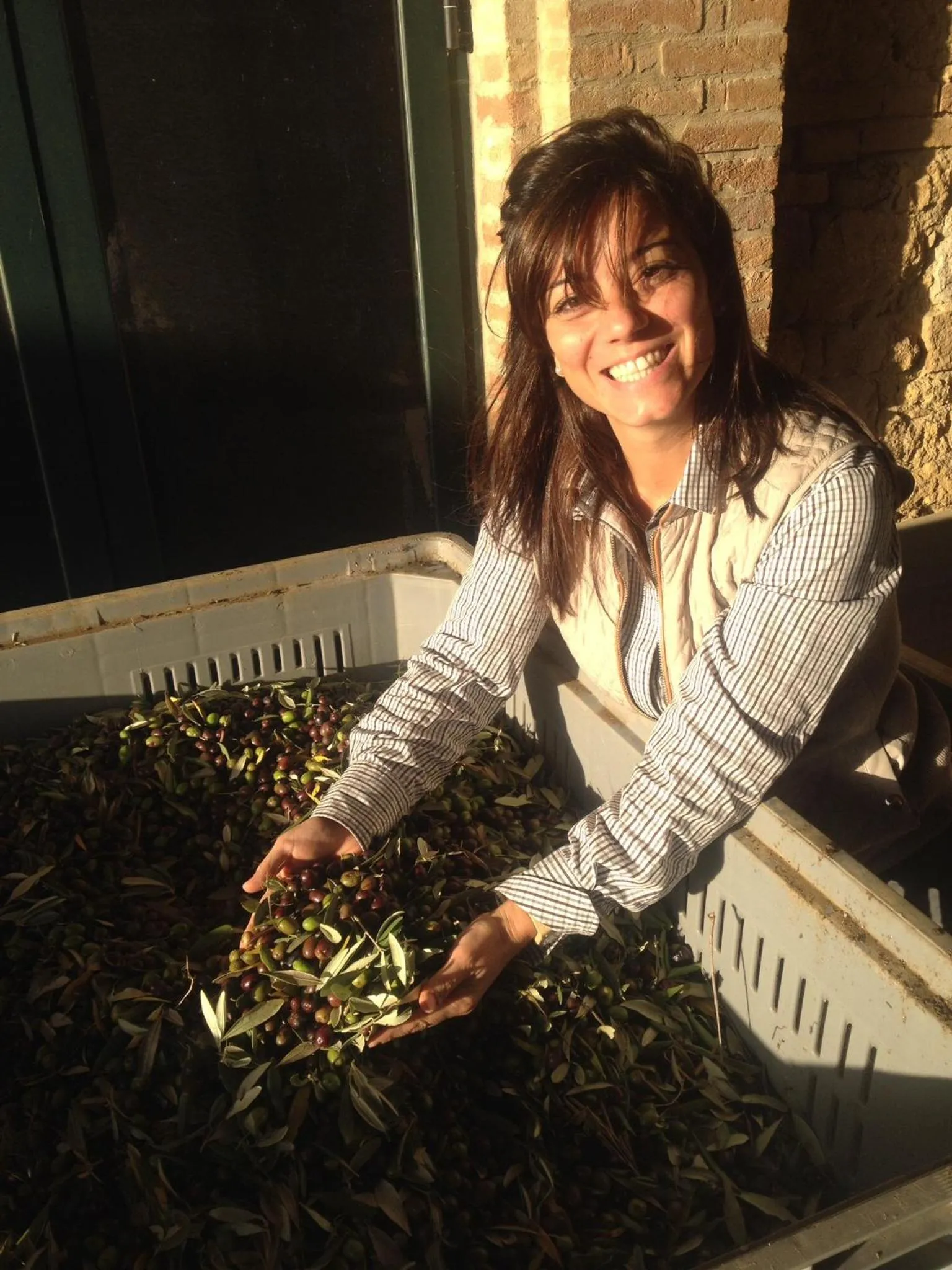 BBQ facilities in Agriturismo Il Macchione