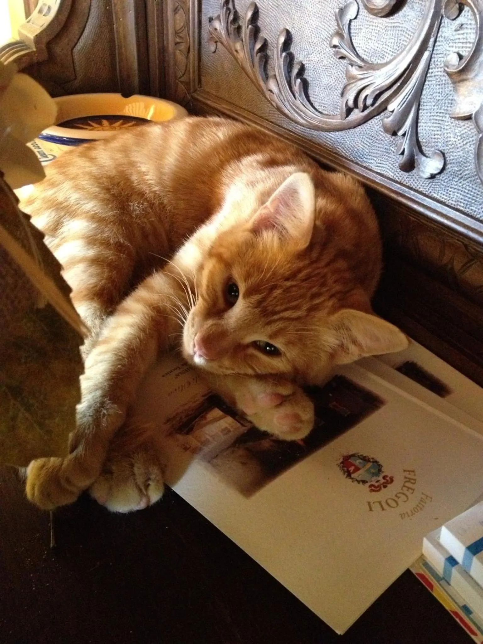 Other in Agriturismo Il Macchione