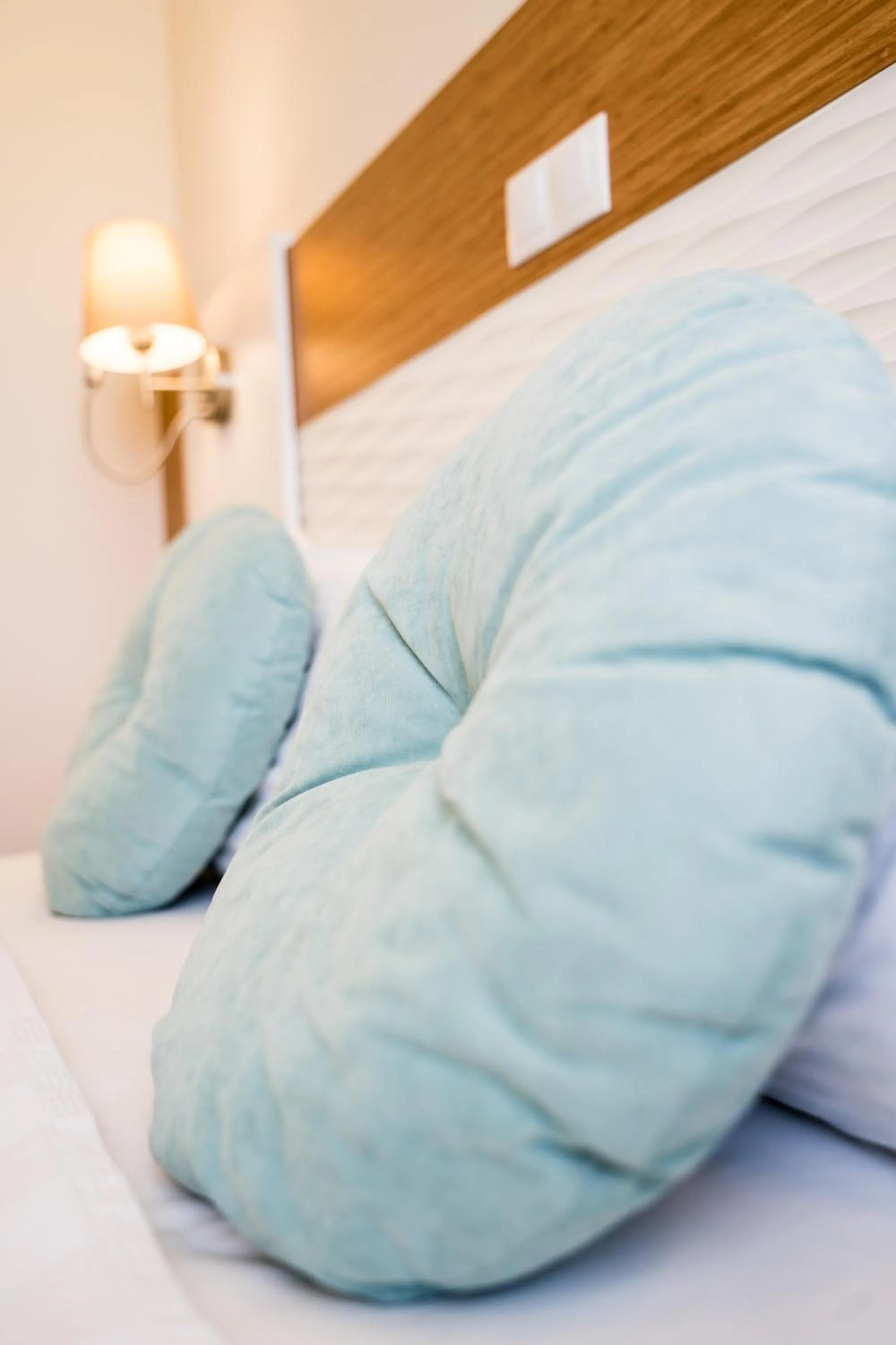 Bed in Afyon Orucoglu Thermal Resort