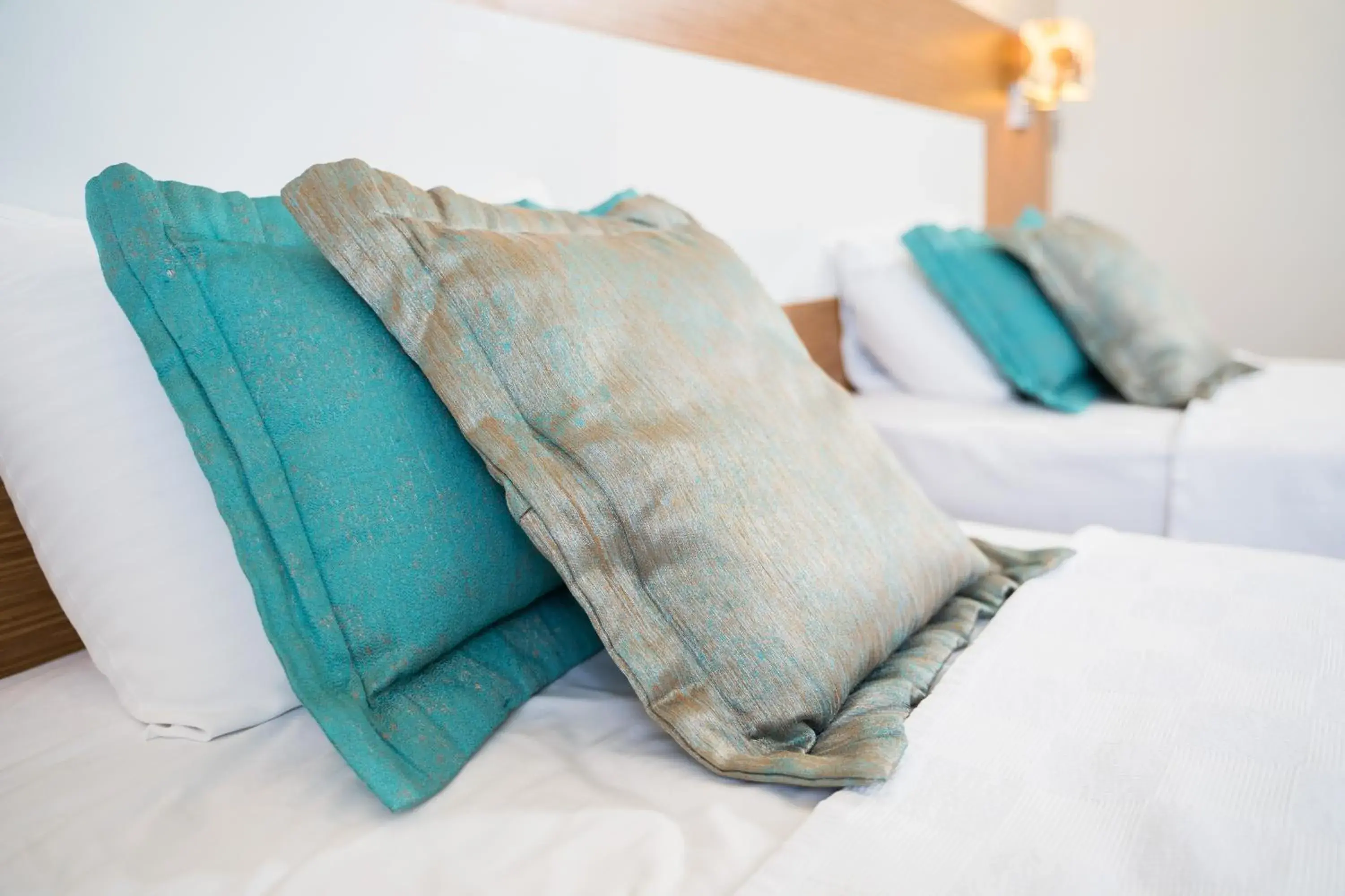 Standard Double Room - single occupancy in Afyon Orucoglu Thermal Resort Standard Double Room - single occupancy in Afyon Orucoglu Thermal Resort