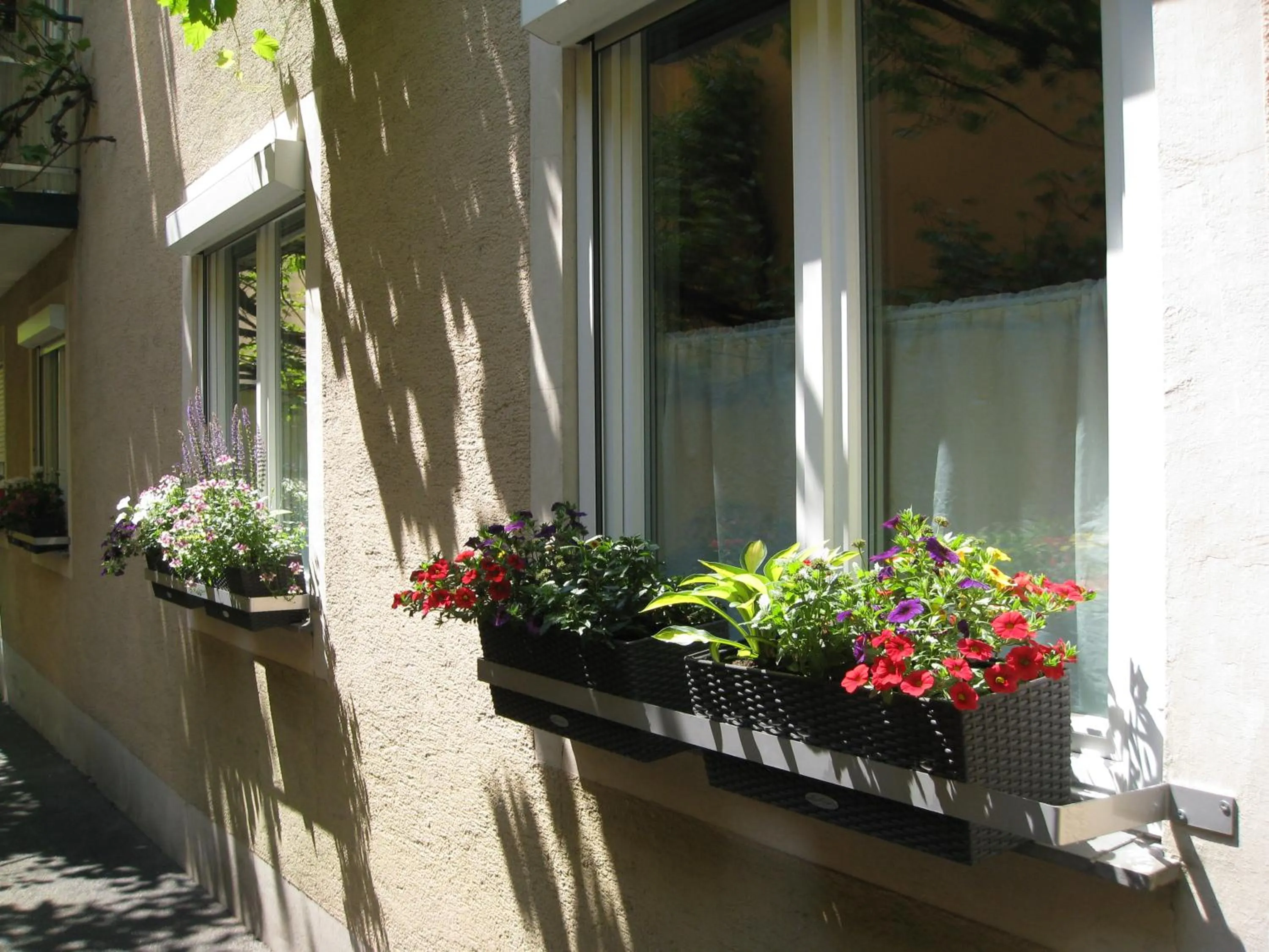 Patio in Hotel Möve garni