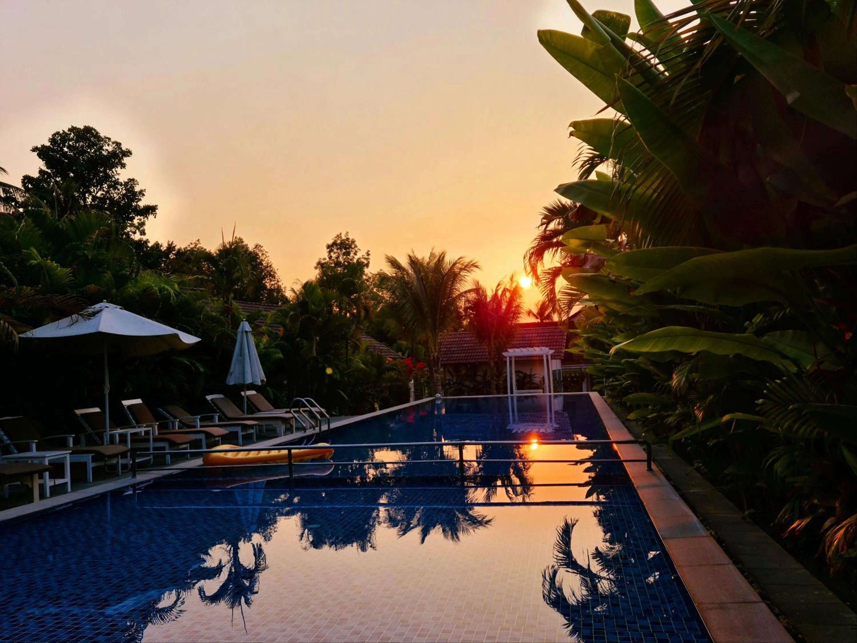 Swimming pool in Philip Bungalow