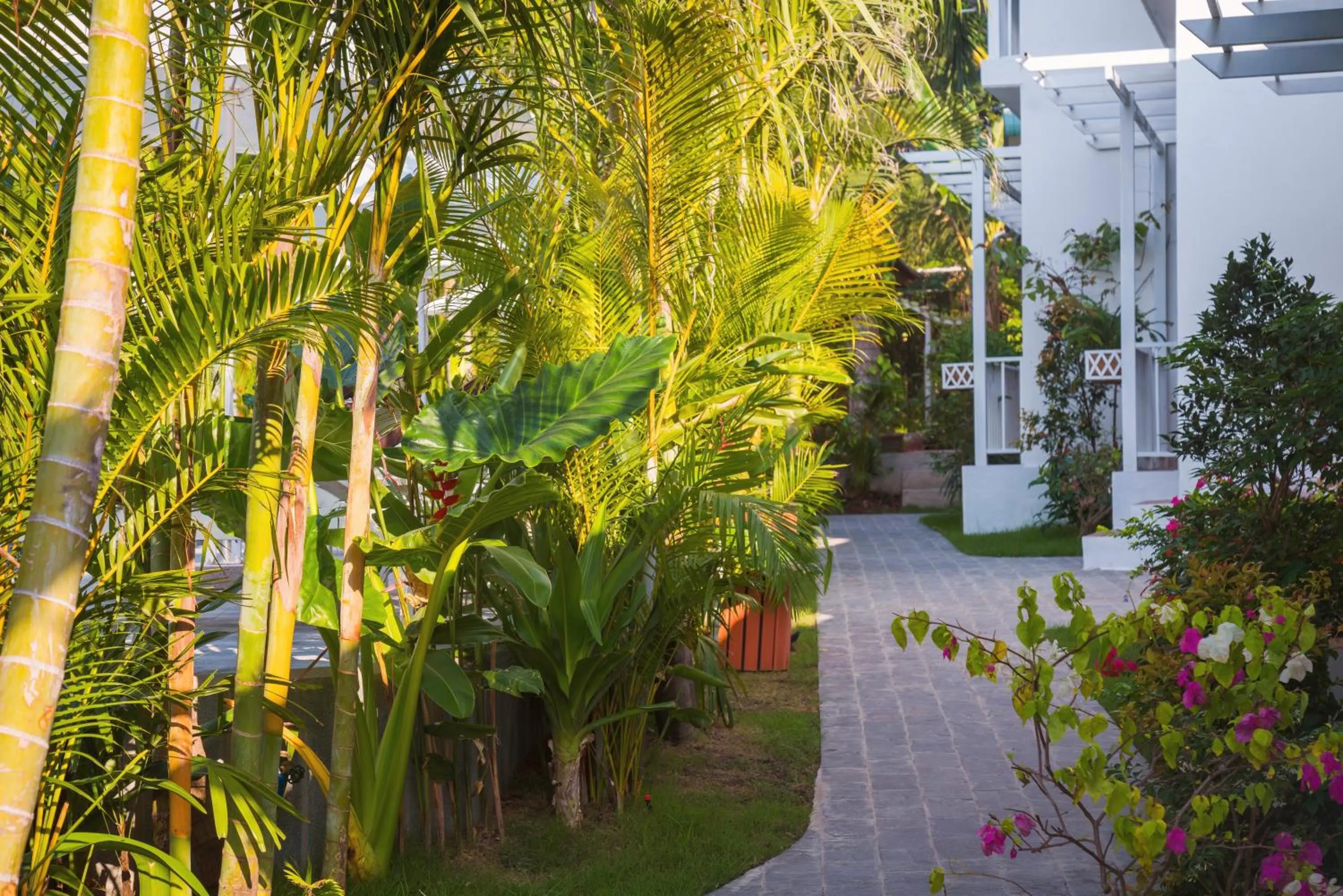 Garden in Philip Bungalow