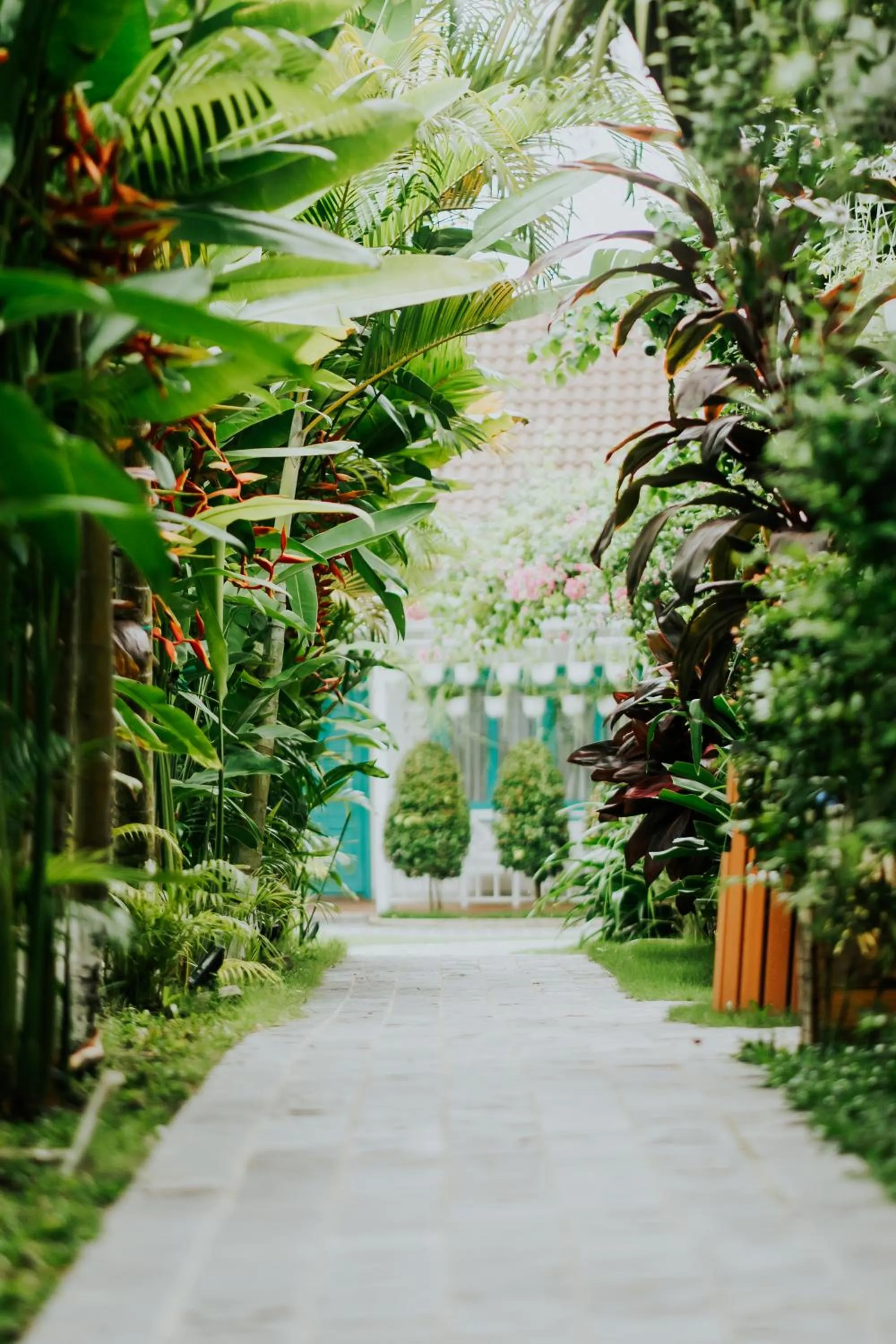 Garden in Philip Bungalow