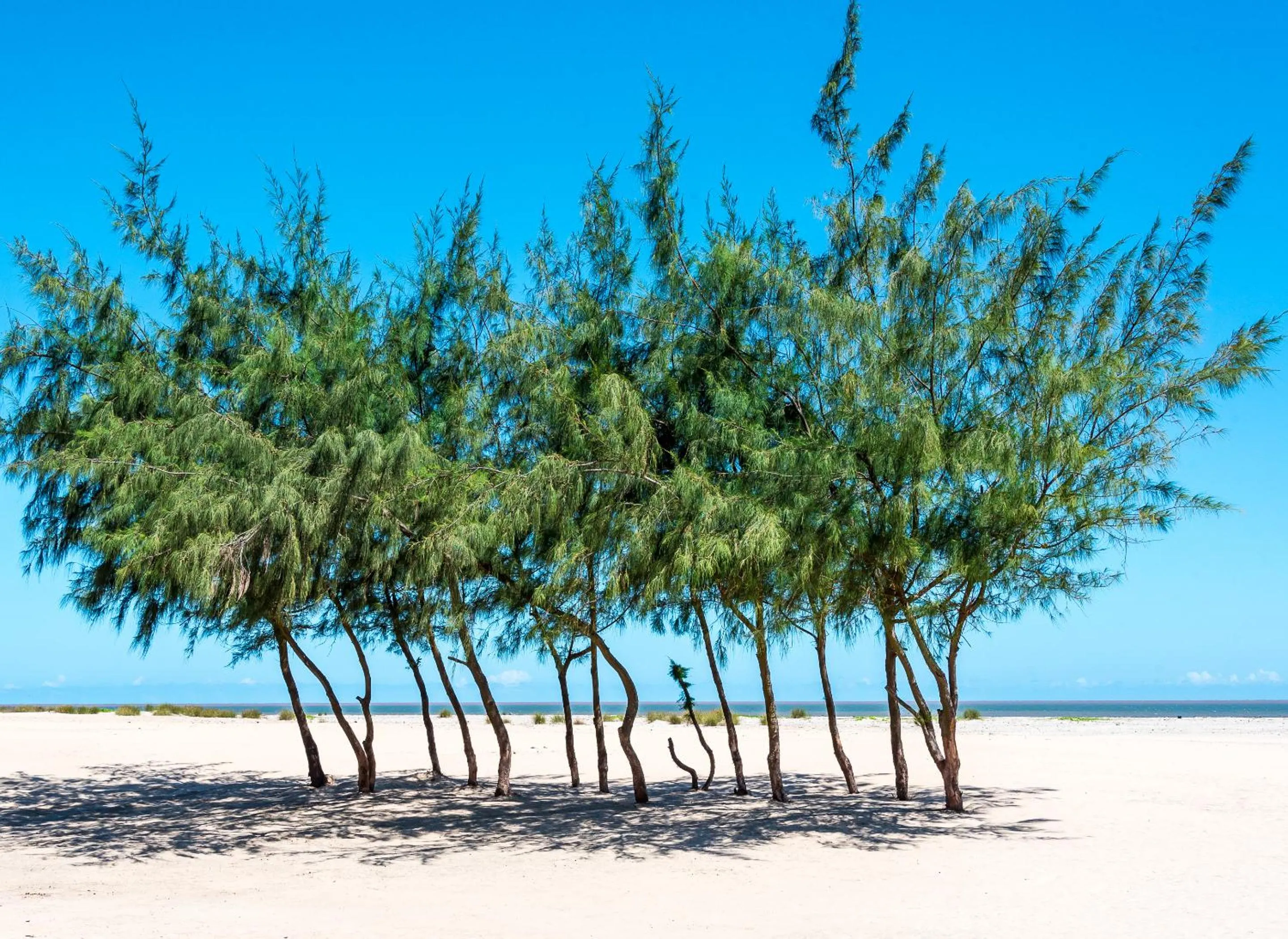 Beach in Ocean Beach Resort & SPA