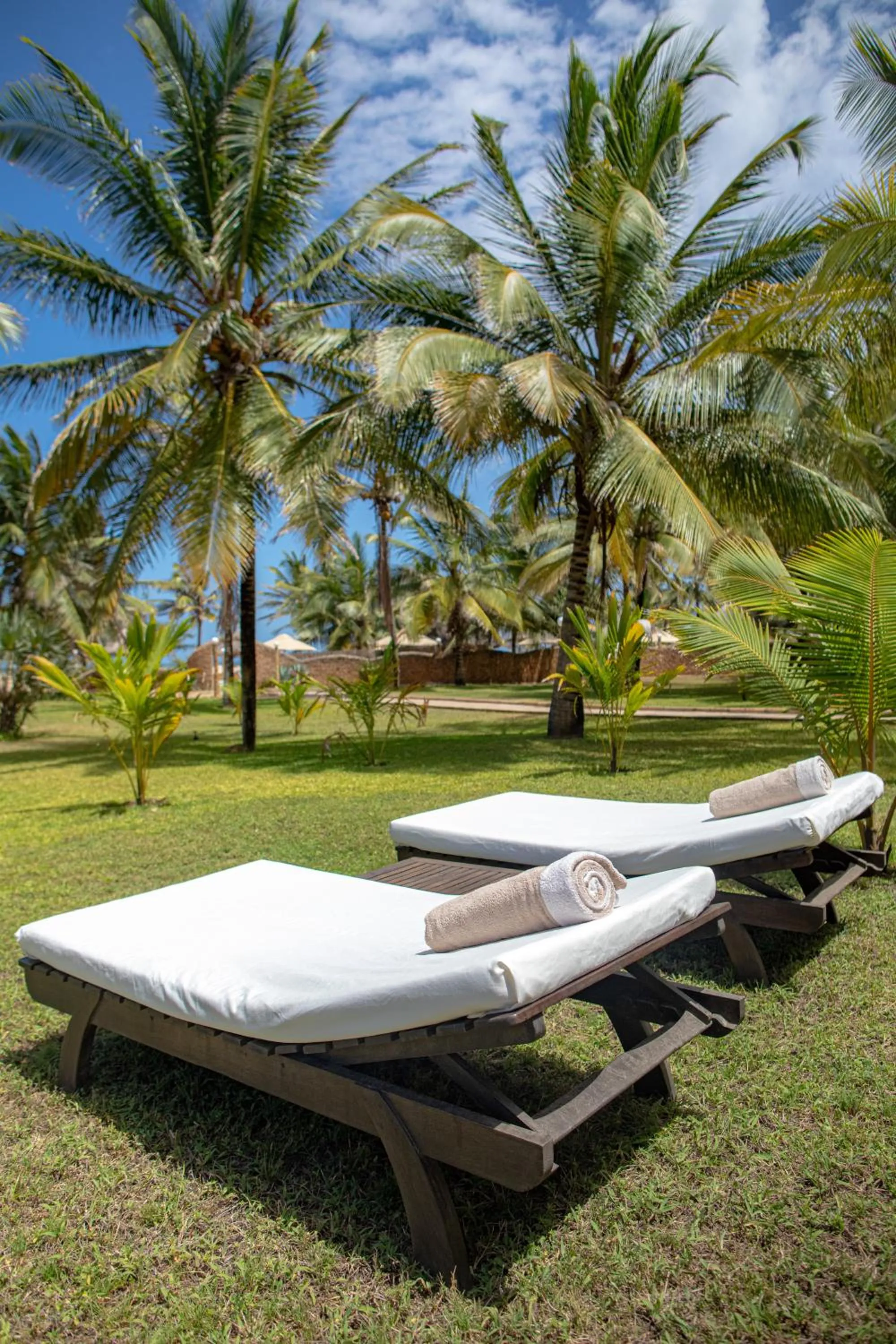 Garden in Ocean Beach Resort & SPA