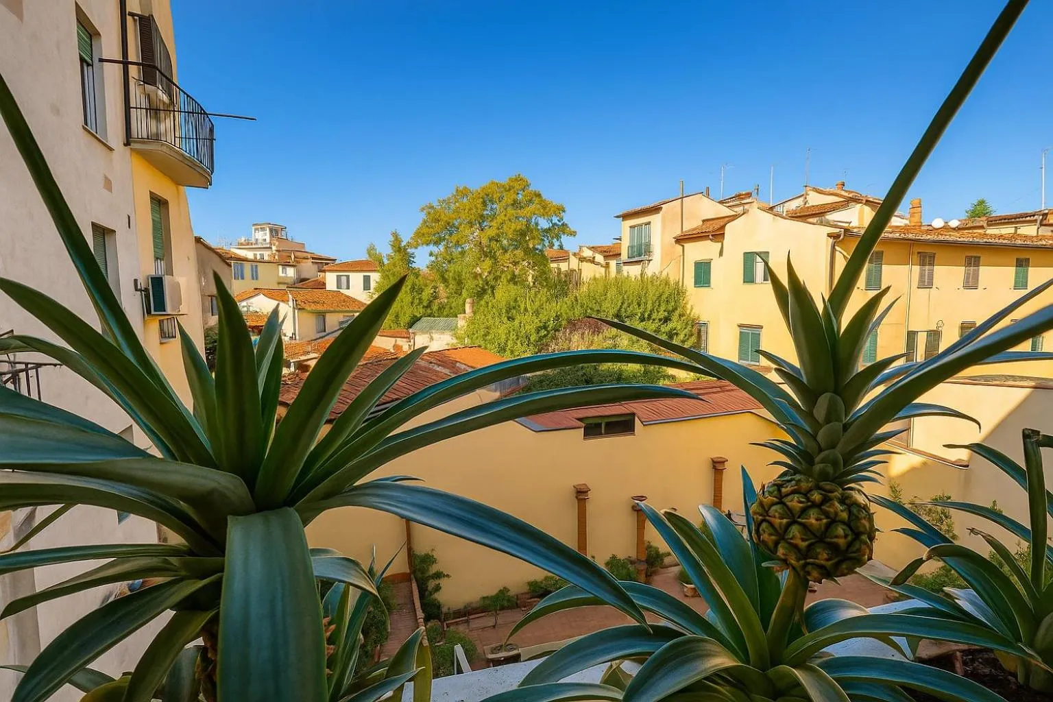 Garden view in BOBOTEL ROOMS City Center
