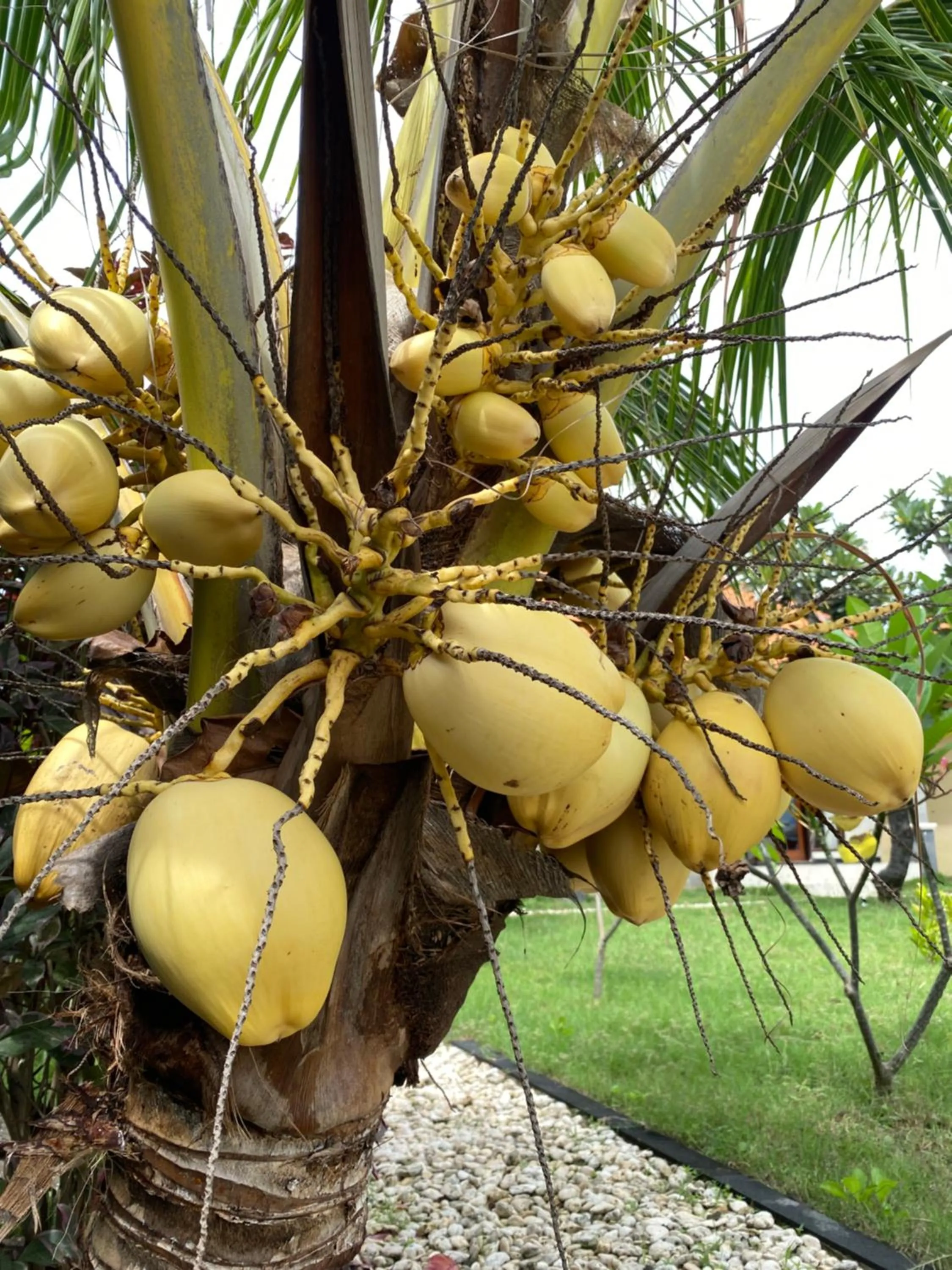 Natural landscape in Cave Beach Bungalow