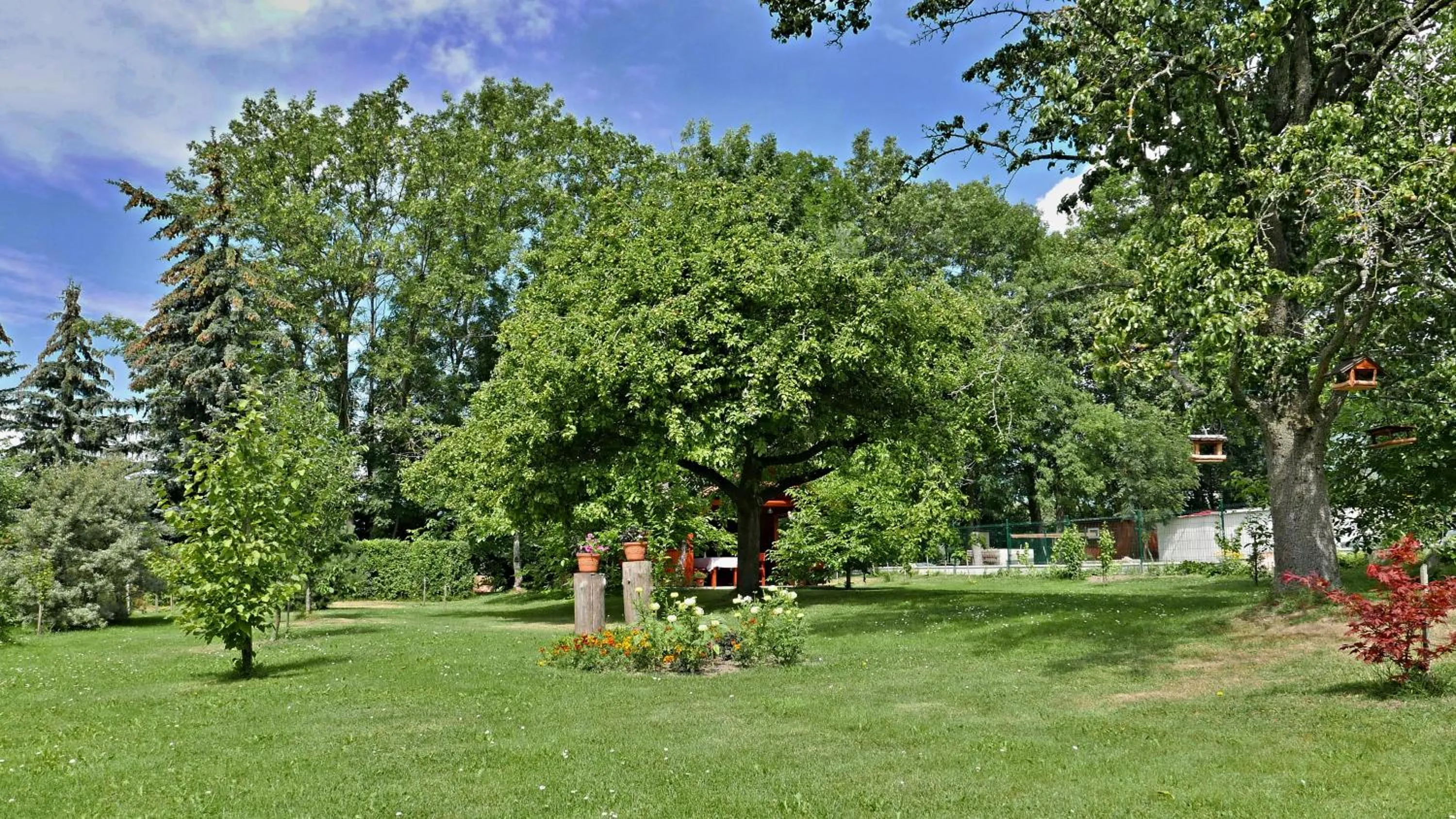 Activities in Penzion Jaraba