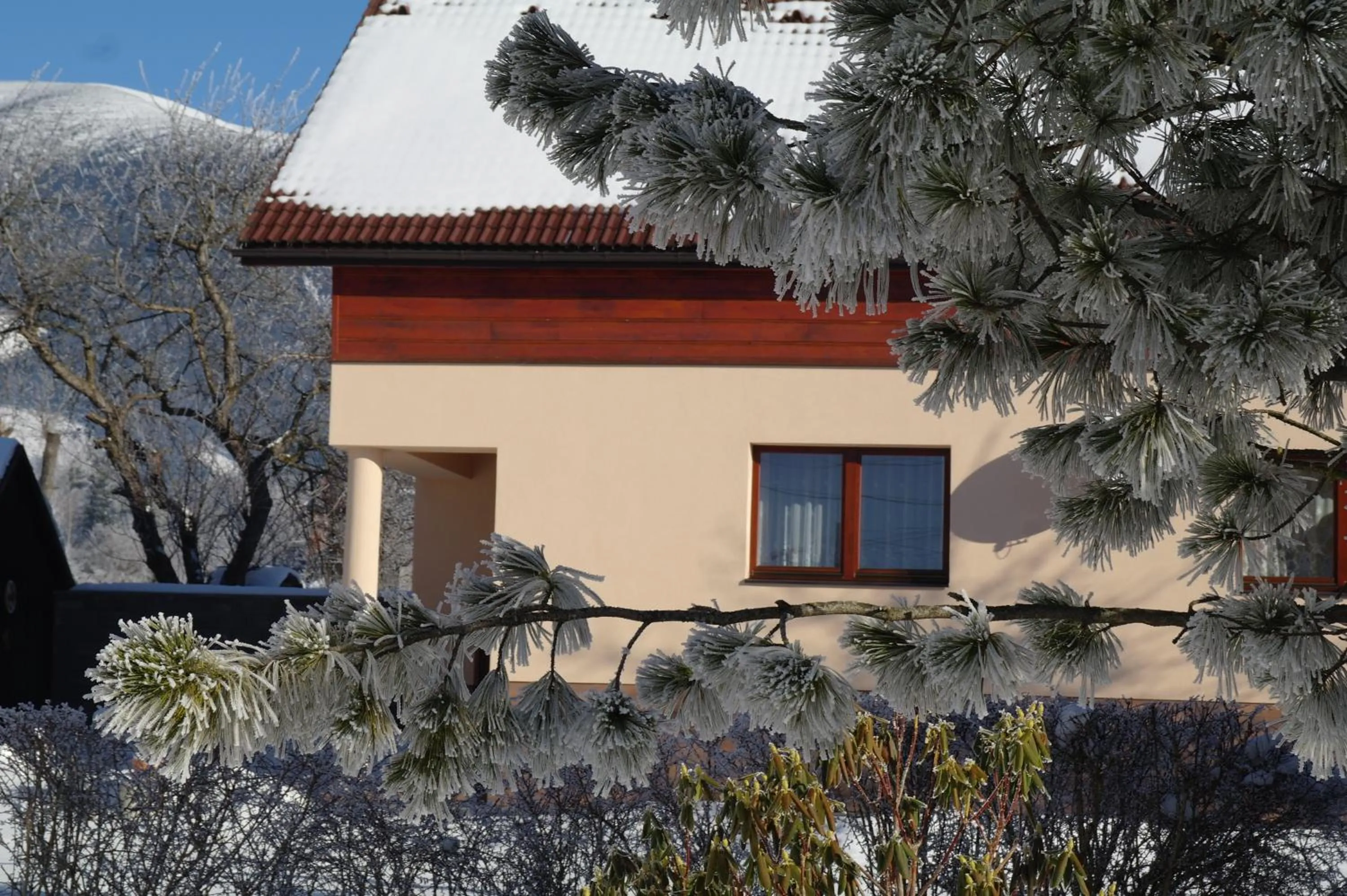 Garden in Penzion Jaraba