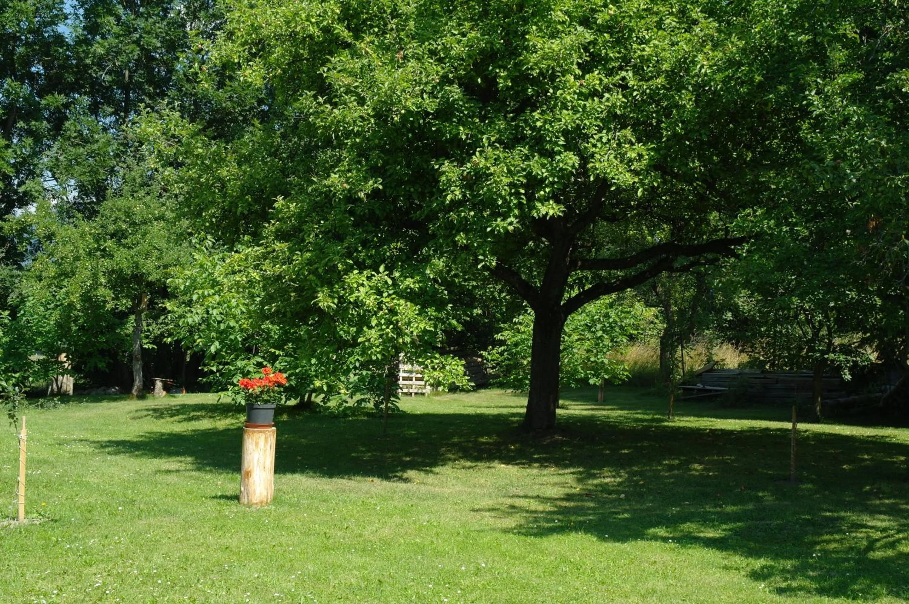 Natural landscape in Penzion Jaraba