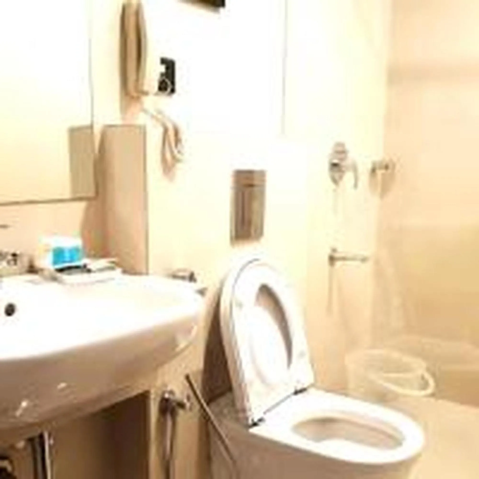 Toilet in Hotel Park Residency Kozhencherry