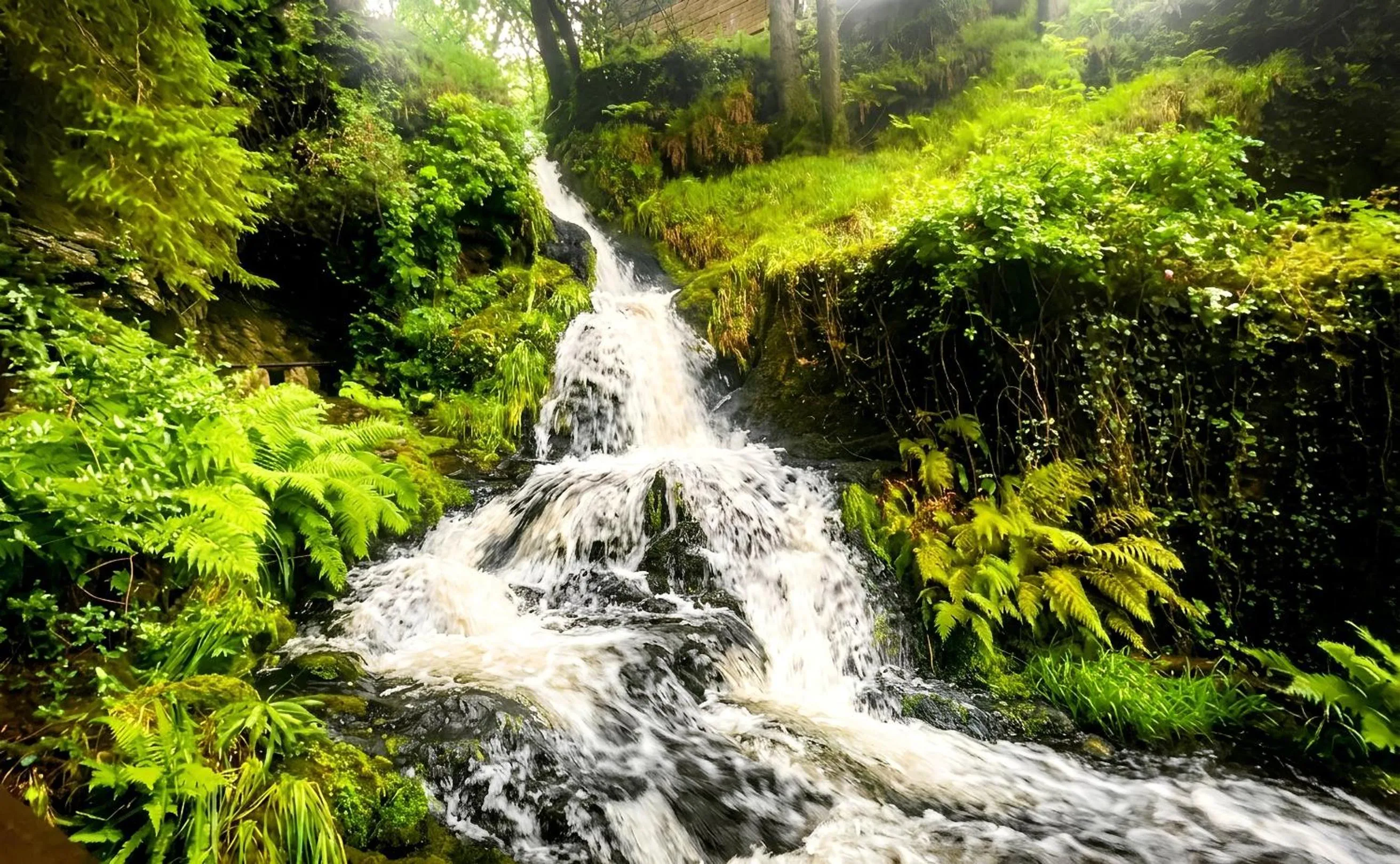Natural landscape in Aberdunant Hall Holiday Park