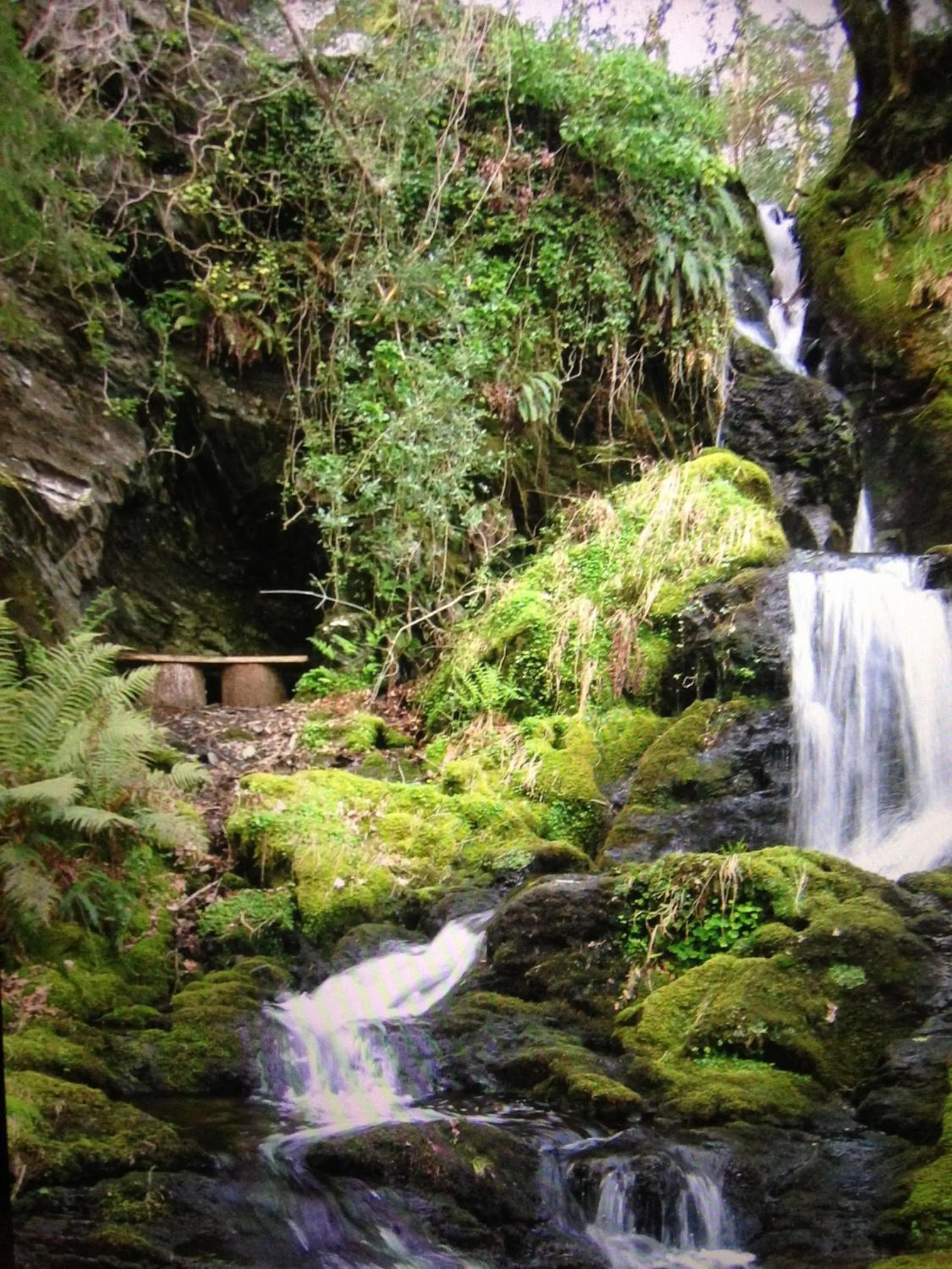 Garden in Aberdunant Hall Holiday Park