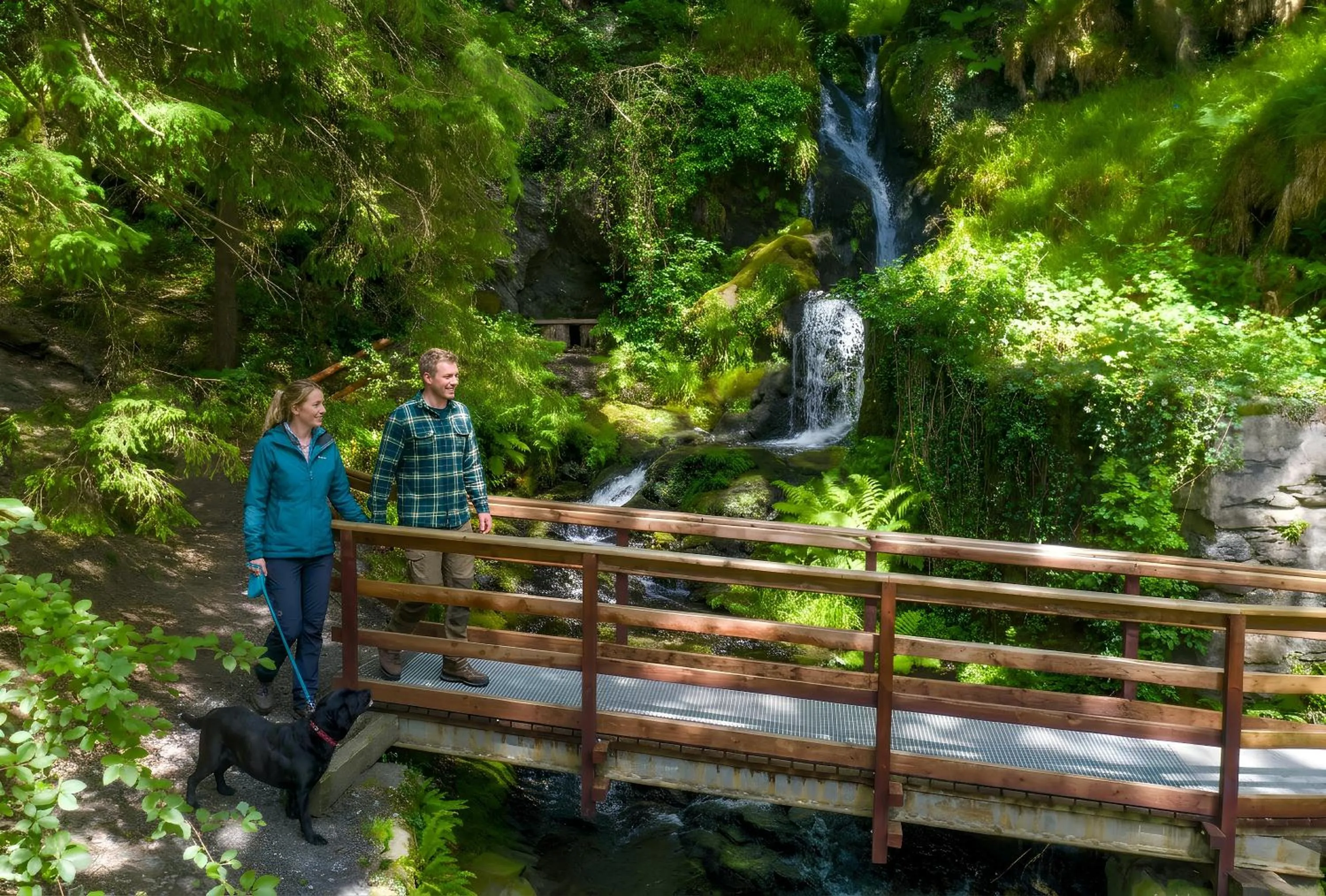 Natural landscape in Aberdunant Hall Holiday Park