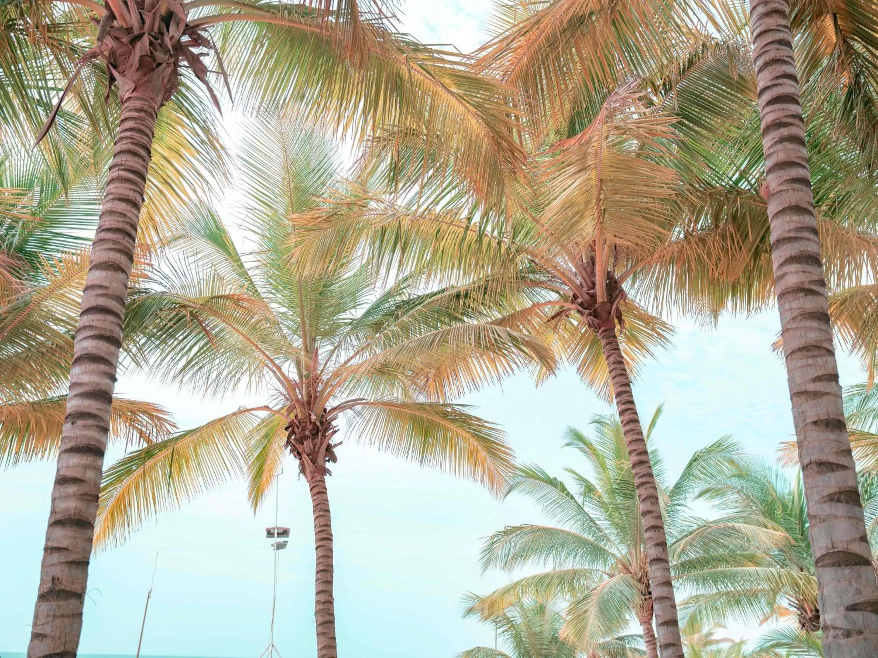 Meeting/conference room in Movenpick Resort Lamantin Saly