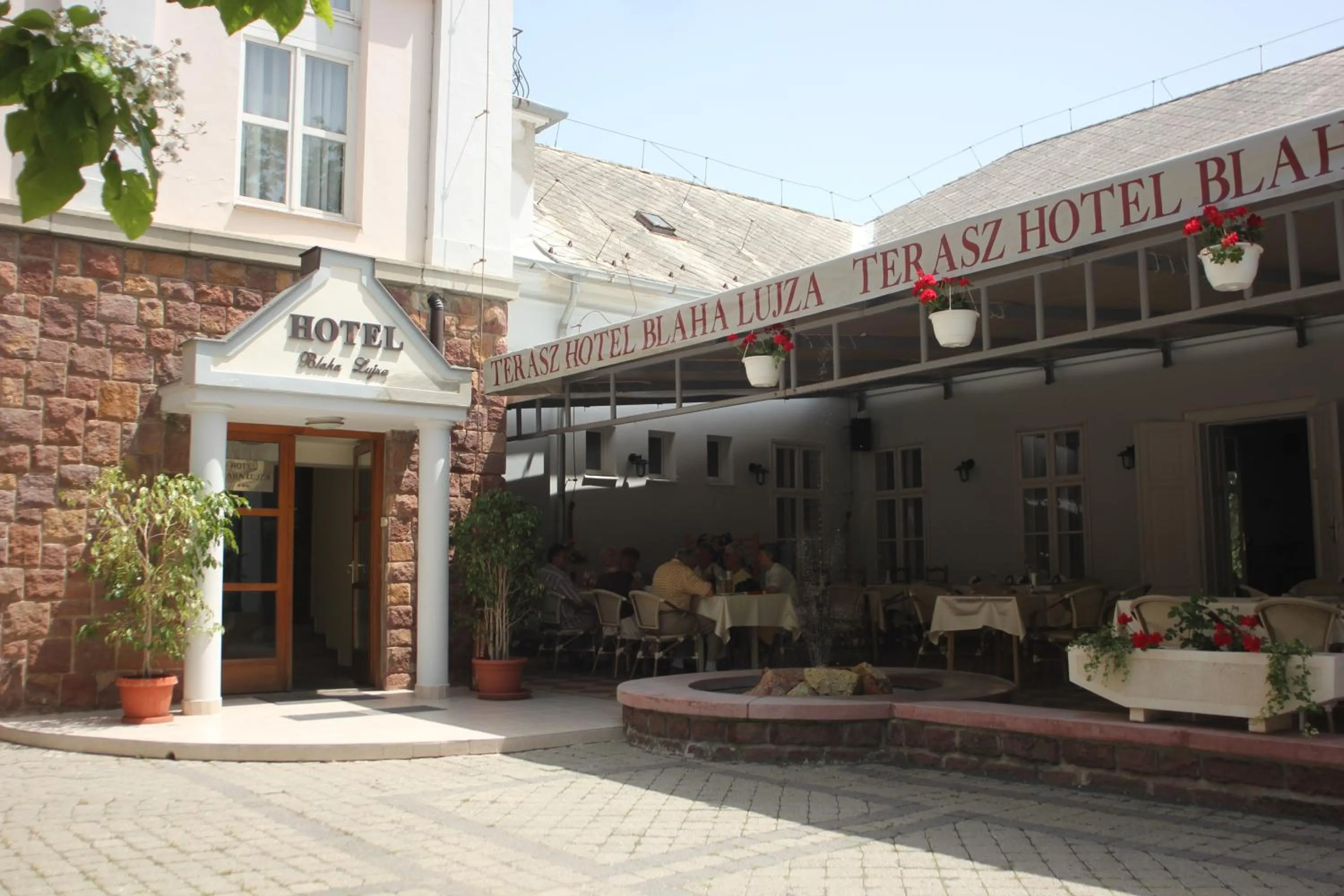 Property building in Hotel Blaha Lujza