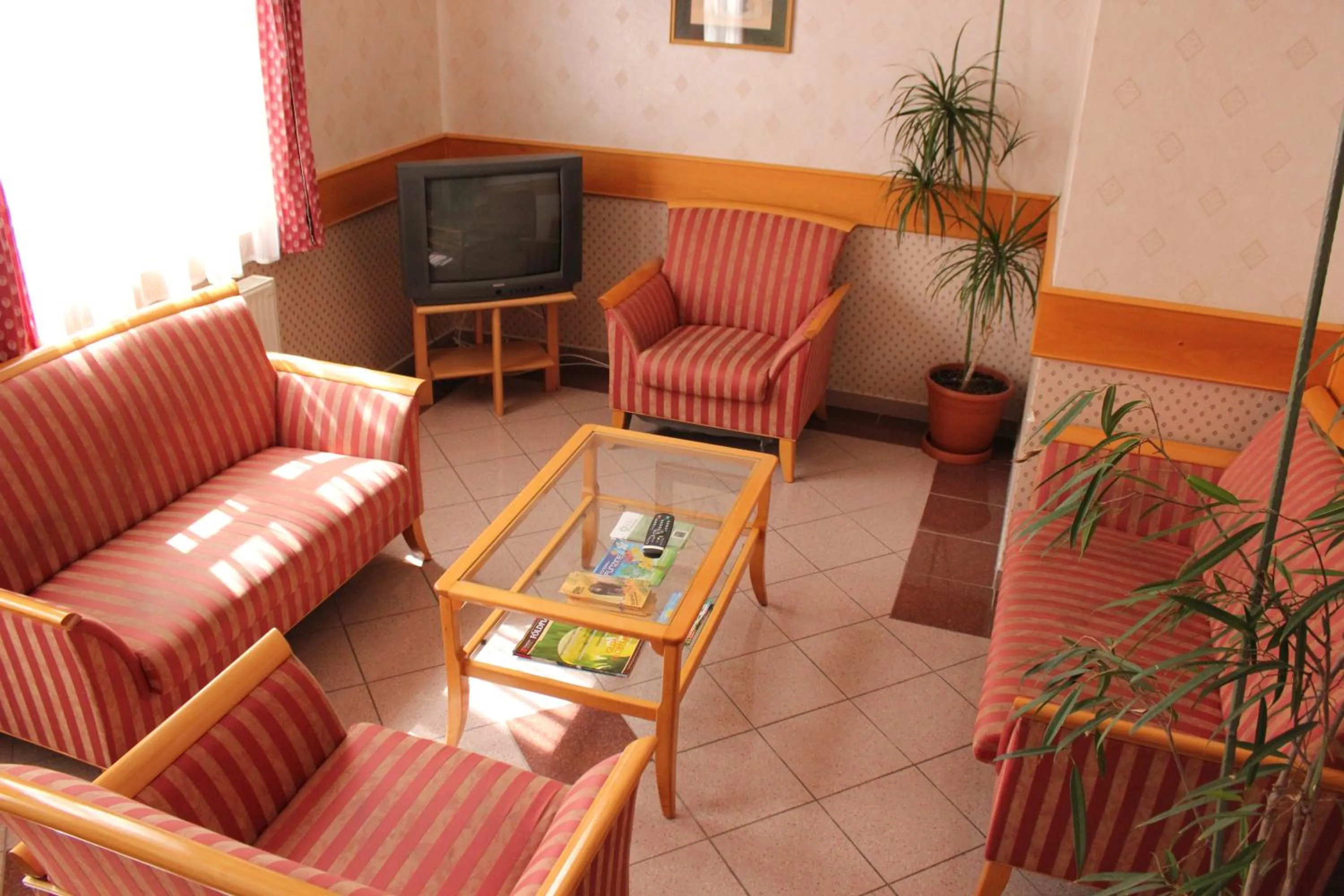Communal lounge/ TV room in Hotel Blaha Lujza