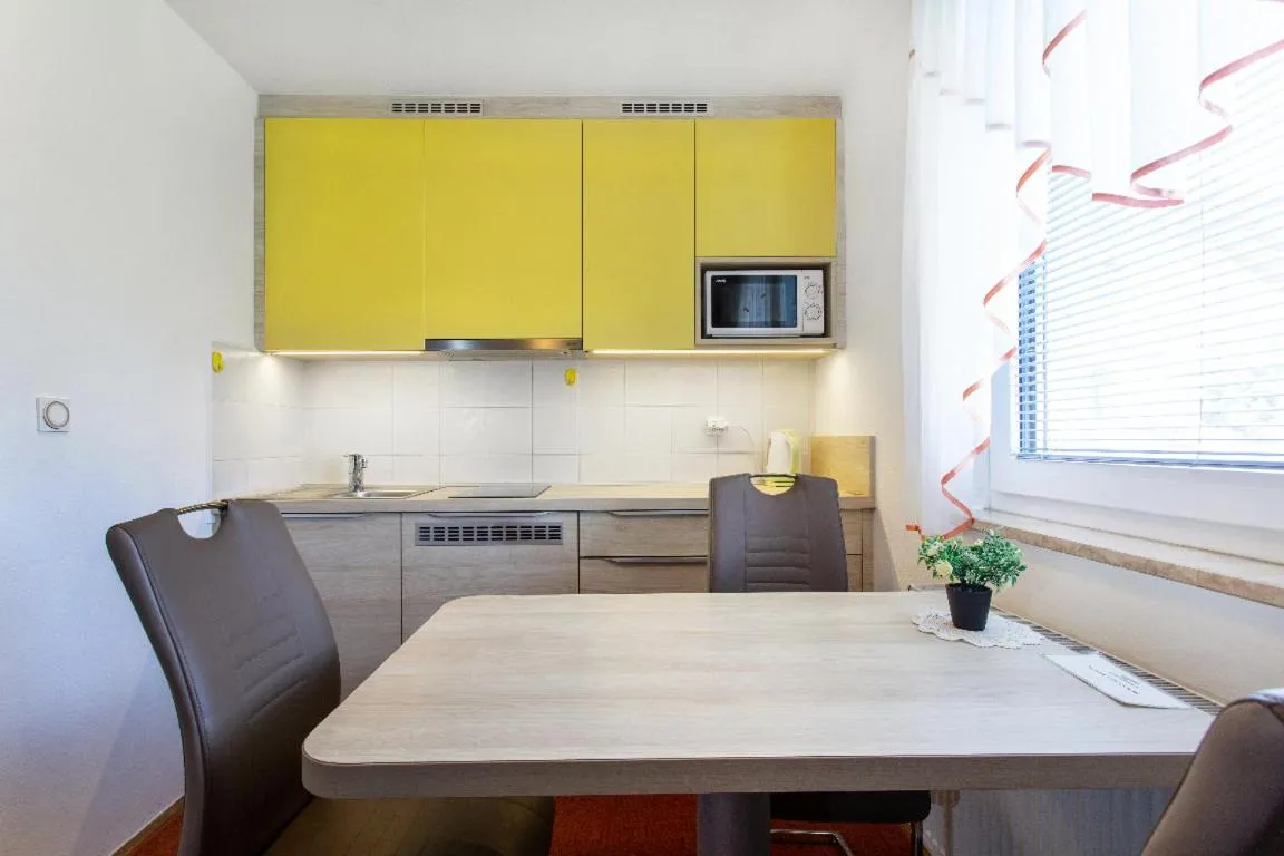 Kitchen or kitchenette in Rooms & Apartments Jana