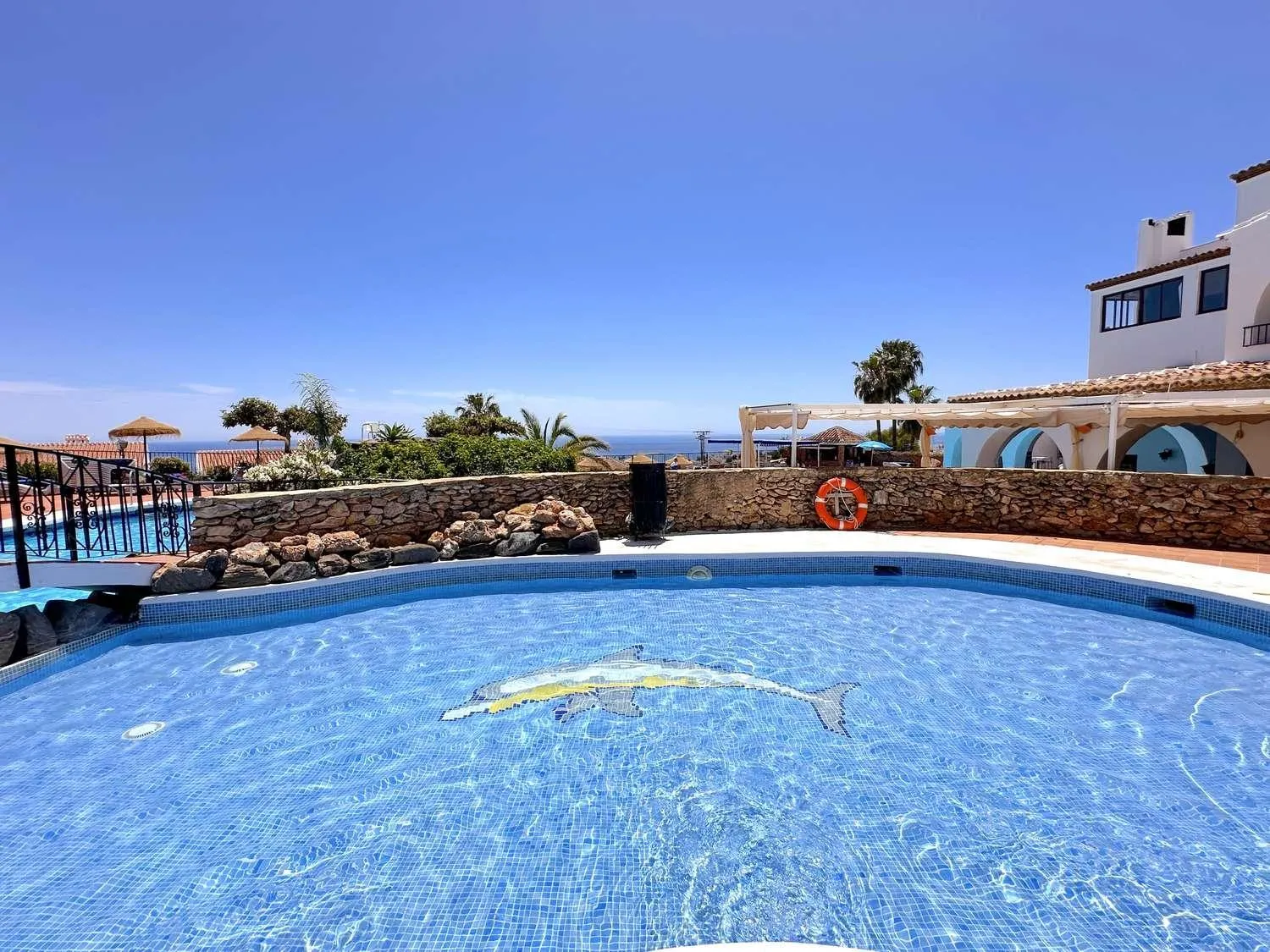 Swimming pool in Los Naranjos 11B Capistrano Casasol
