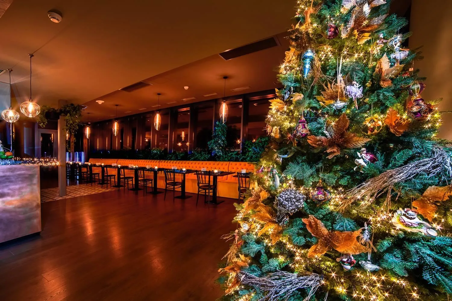 King David Residence